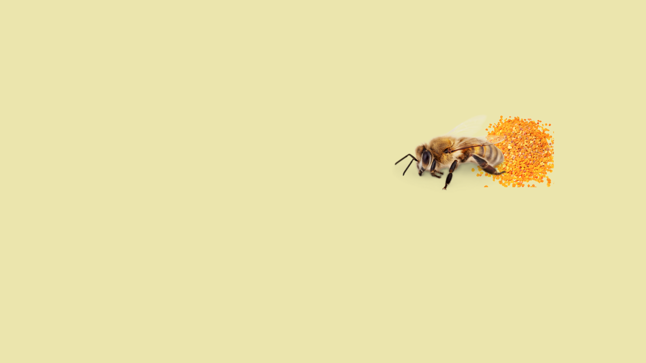 BEE POLLEN