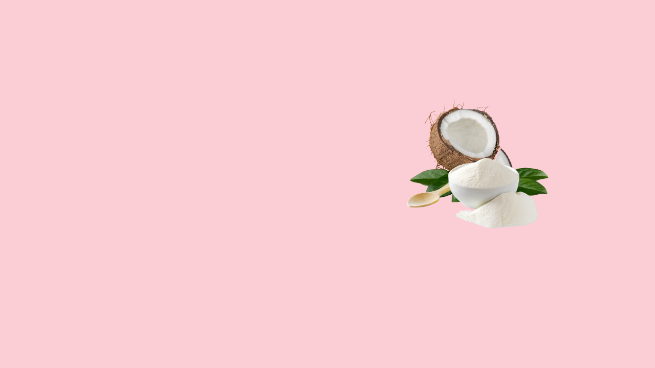 COCONUT MILK POWDER