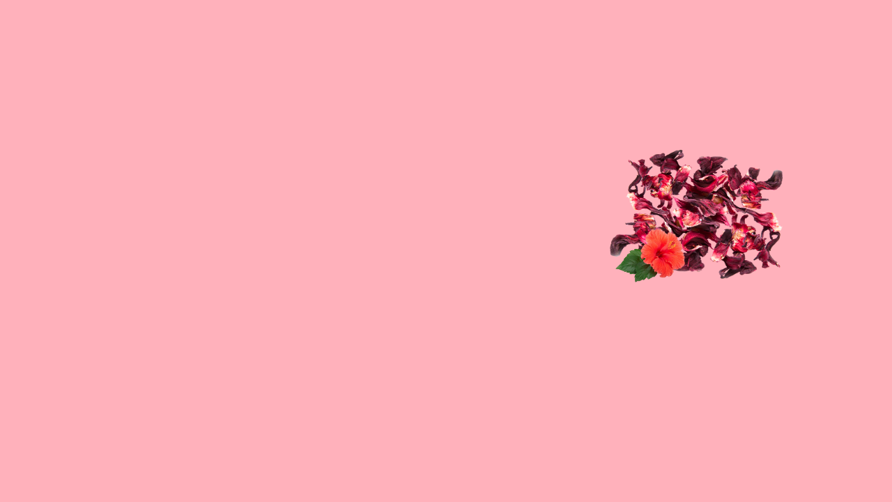 HIBISCUS
