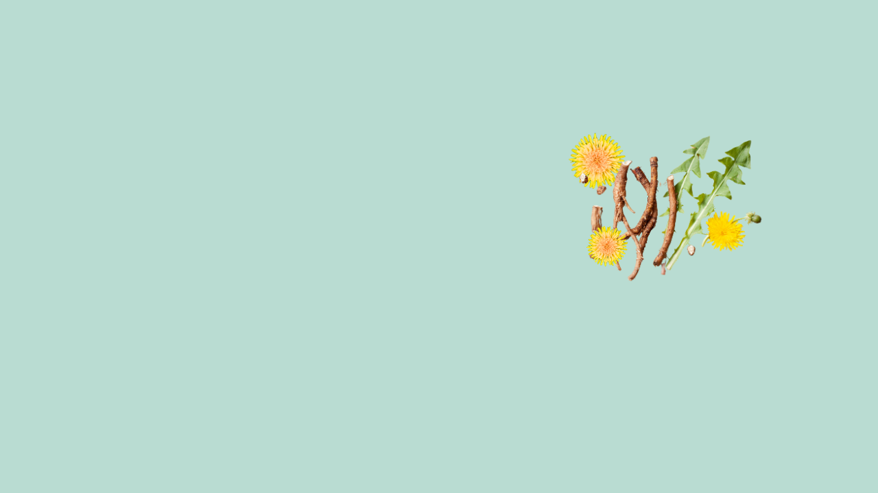 DANDELION ROOT