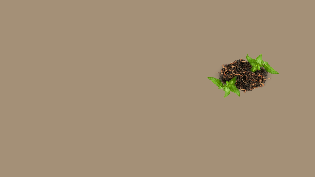 GREEN TEA