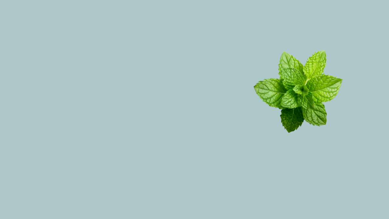 MINT