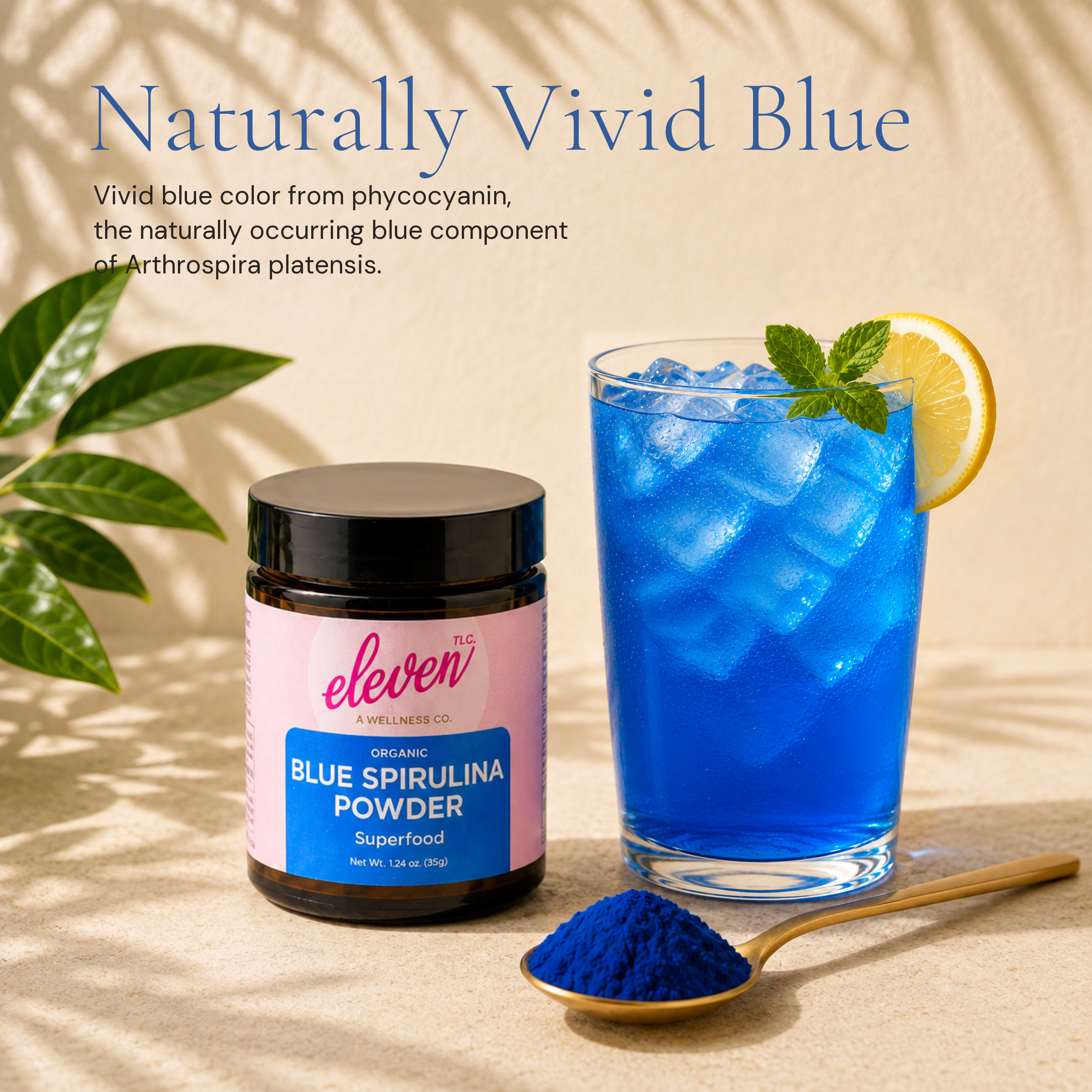 Organic Blue Spirulina Powder | Phycocyanin Antioxidant | 35g