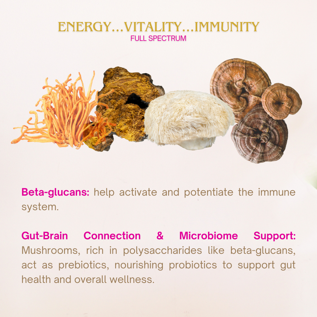 Organic Chaga Mushroom Powder, Full Spectrum – Antioxidant + Anti-Aging Superfood