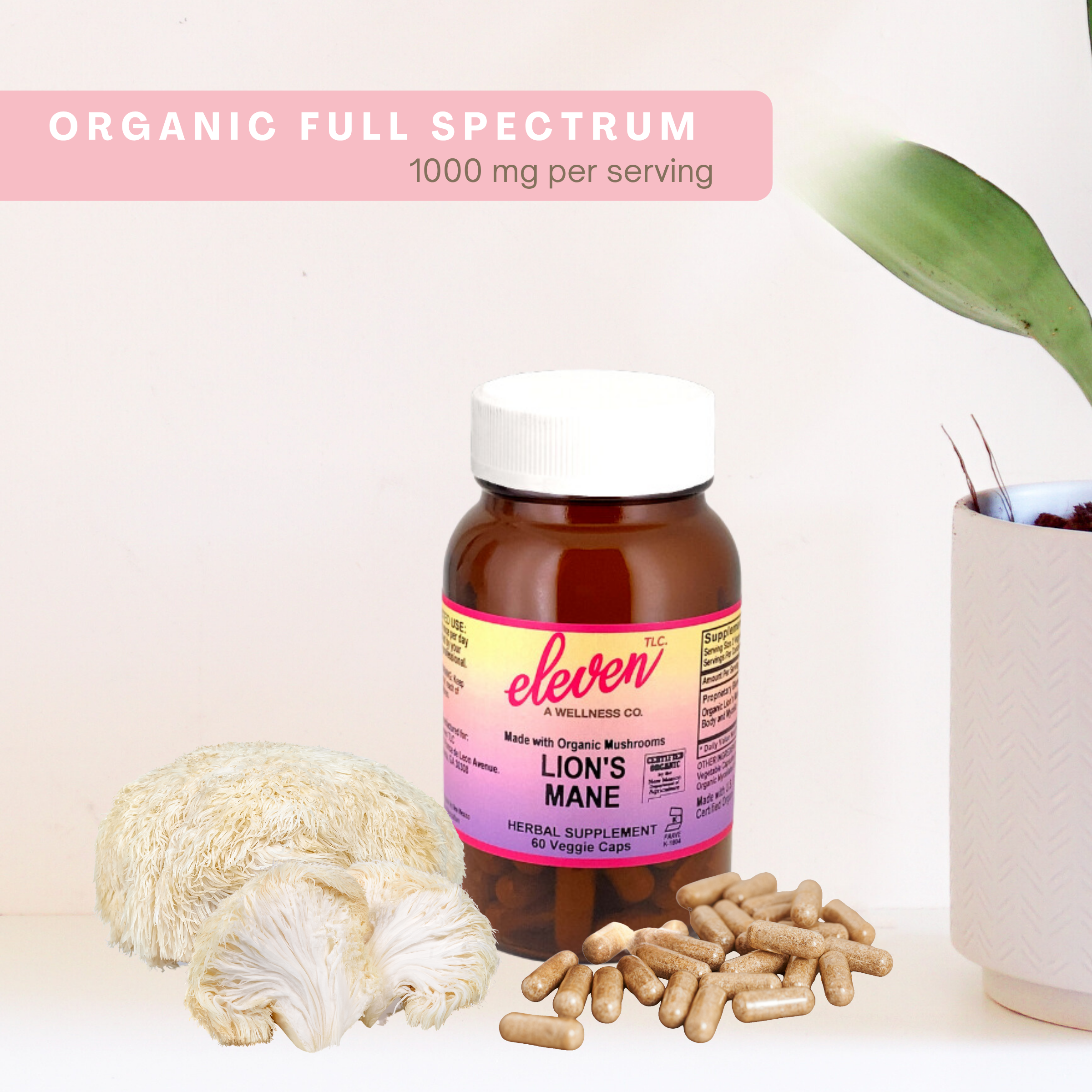 Lion's Mane Organic Mushroom Capsules | 60 Capsules