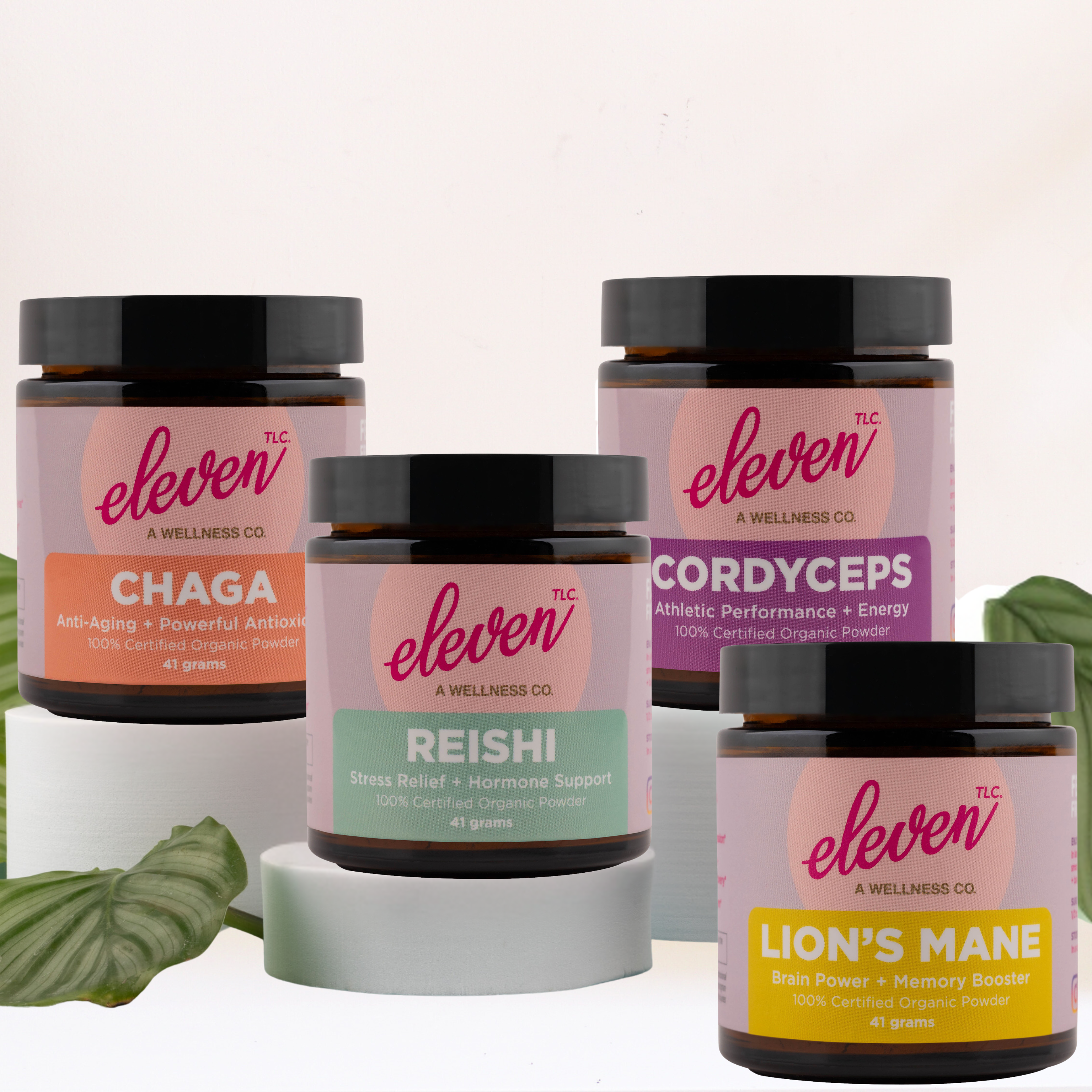 Lion's Mane Organic Mushroom Superfood Powder: The Brain Mushroom Powder