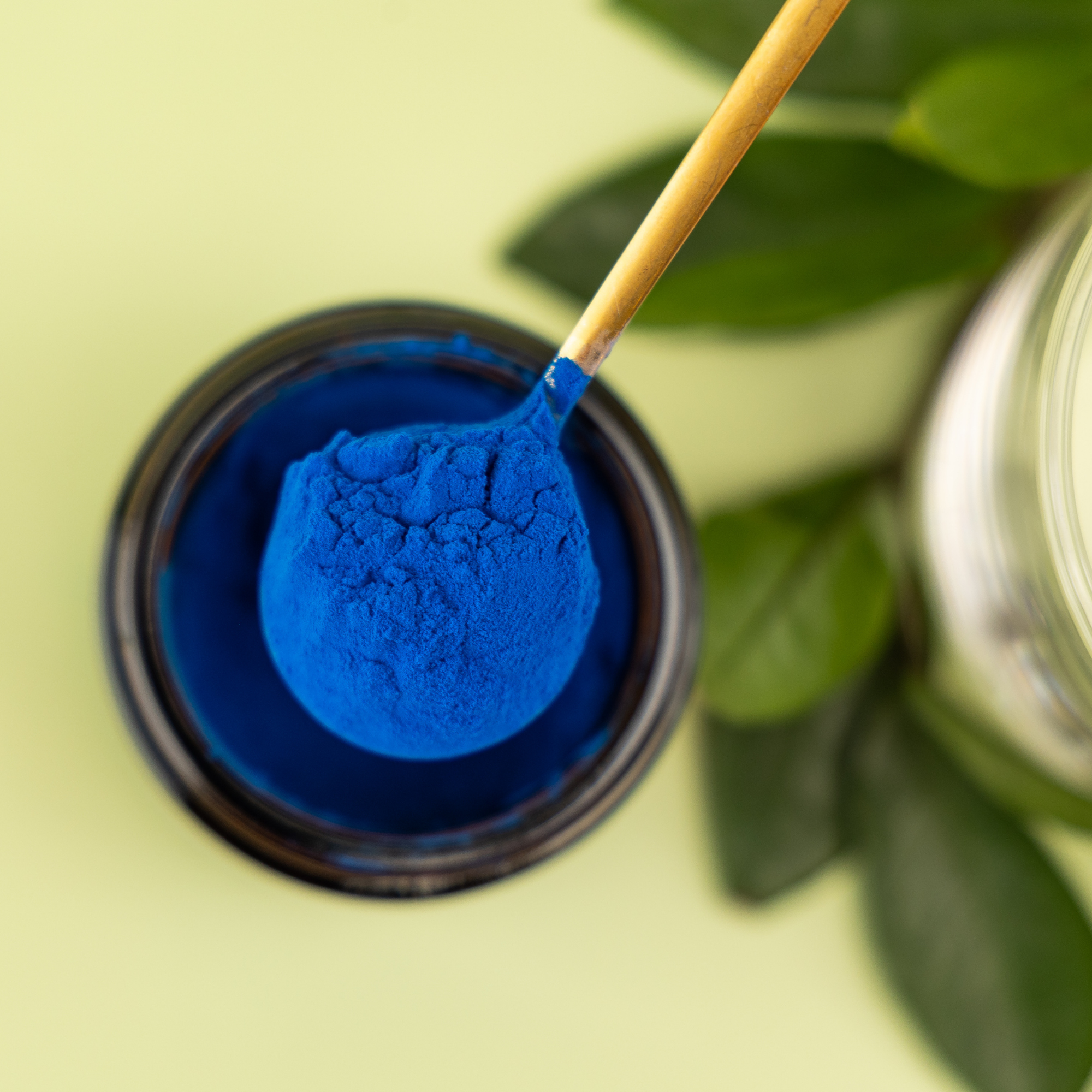 Blue Spirulina Powder – 500g Bulk Bag | Organic Vegan Superfood (approx. 500 Servings)