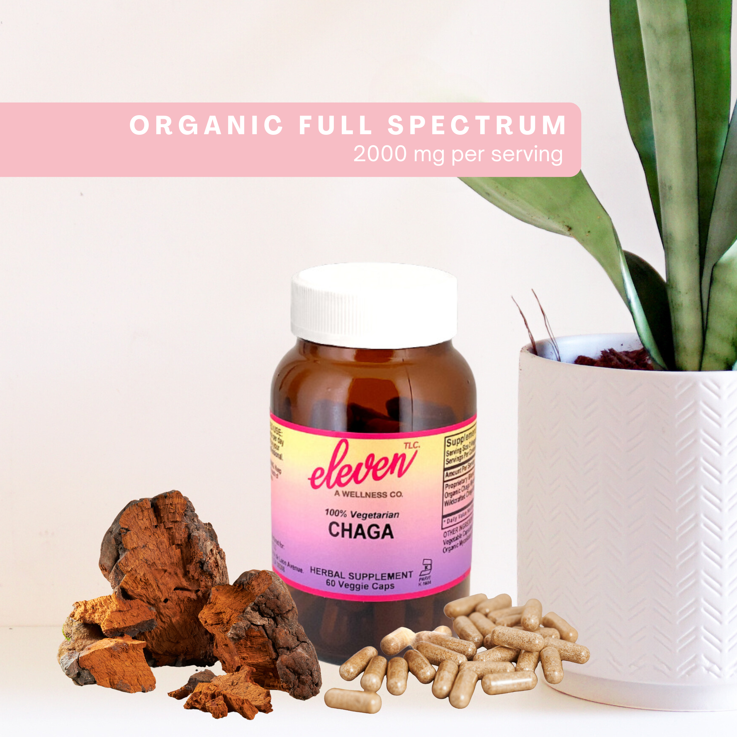 Organic Chaga Mushroom Capsules |60 Count