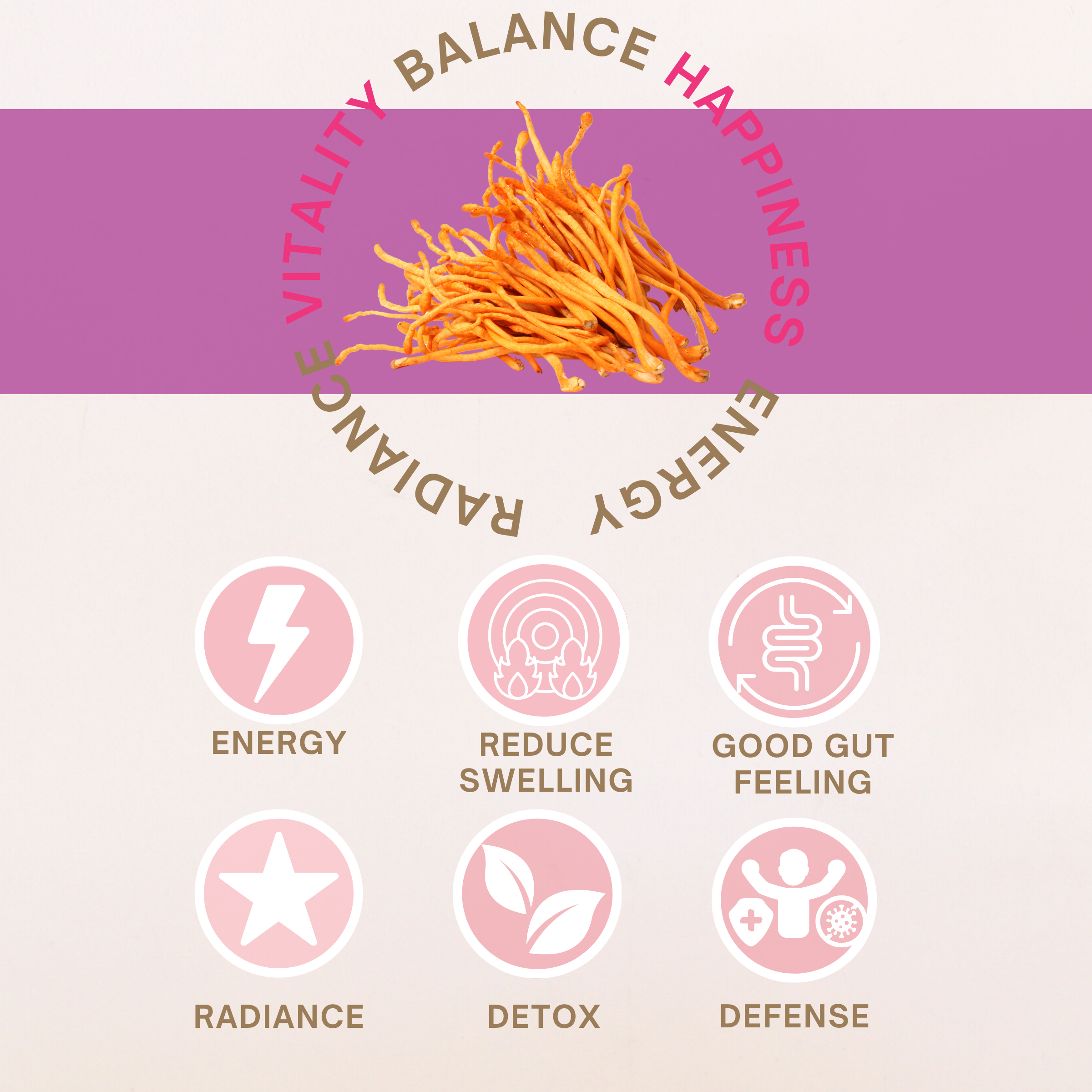 Cordyceps Mushroom Powder | Organic Adaptogen for Energy & Performance