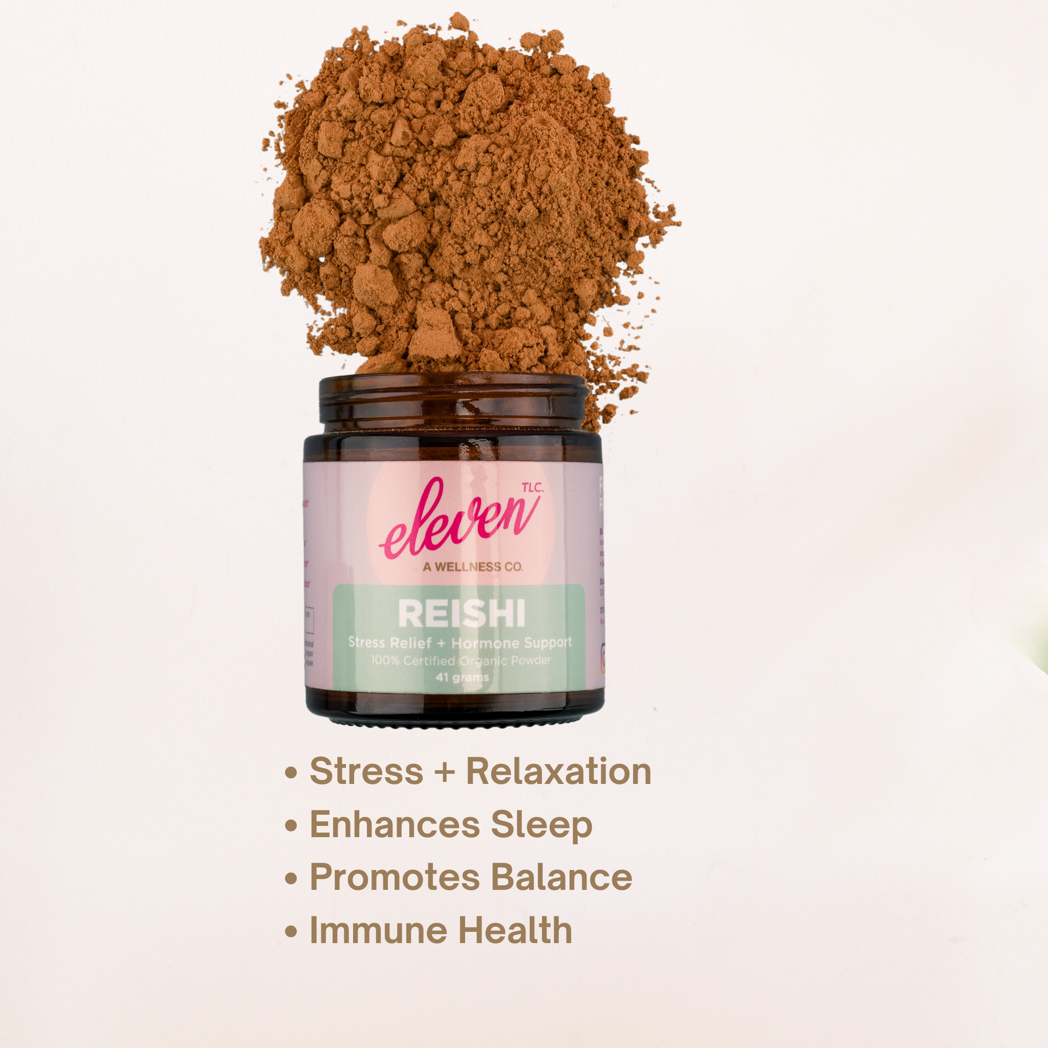Organic Mushroom Powder Bundle | Chaga, Reishi, Cordyceps, & Lion's Mane Superfoods