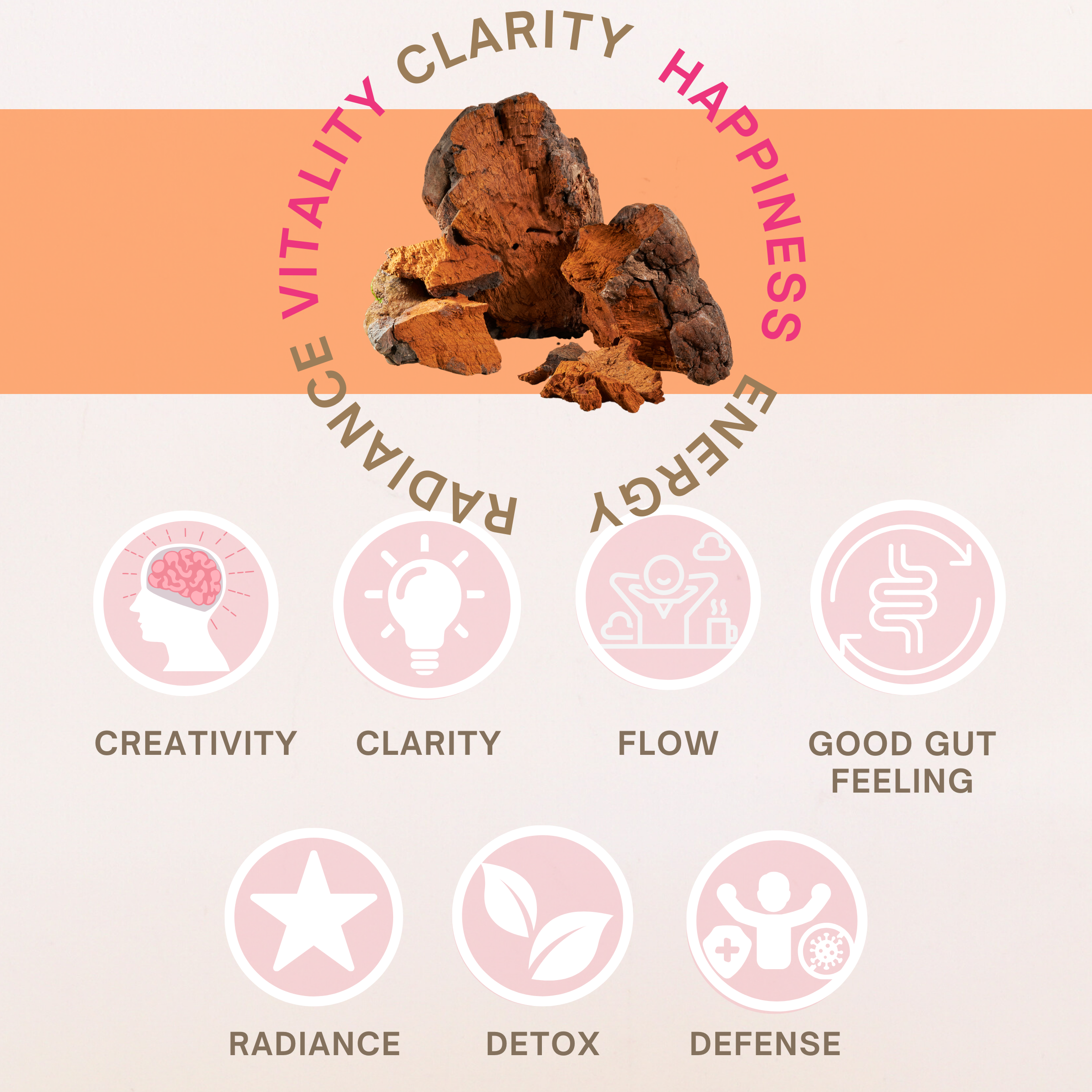 Organic Chaga Mushroom Powder, Full Spectrum – Antioxidant + Anti-Aging Superfood