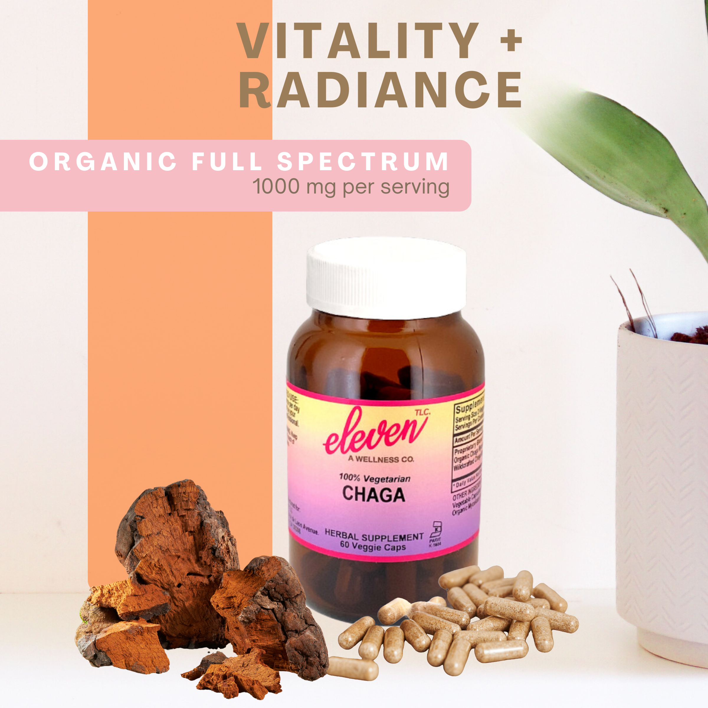 Chaga Organic Mushroom Capsules | Vegan Capsules |60 Count