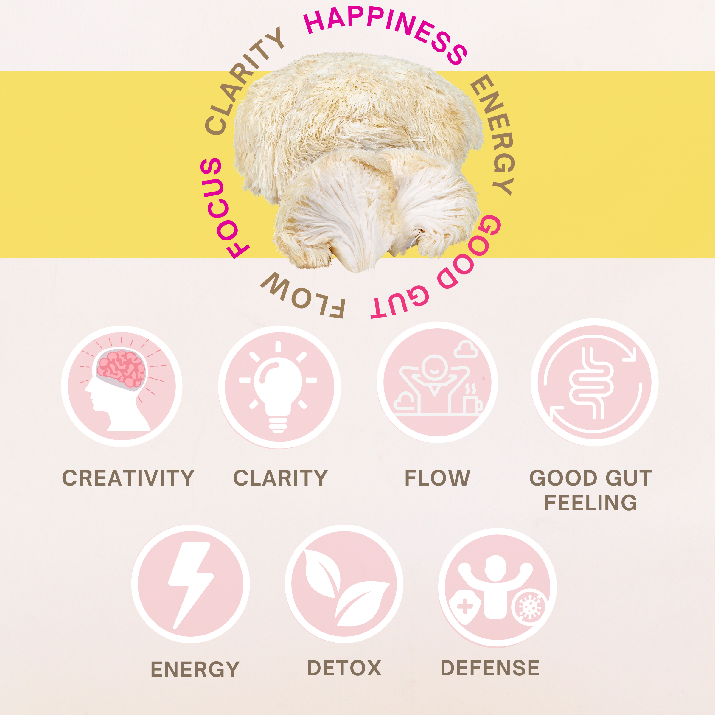 Lion's Mane Organic Mushroom Capsules | 60 Capsules