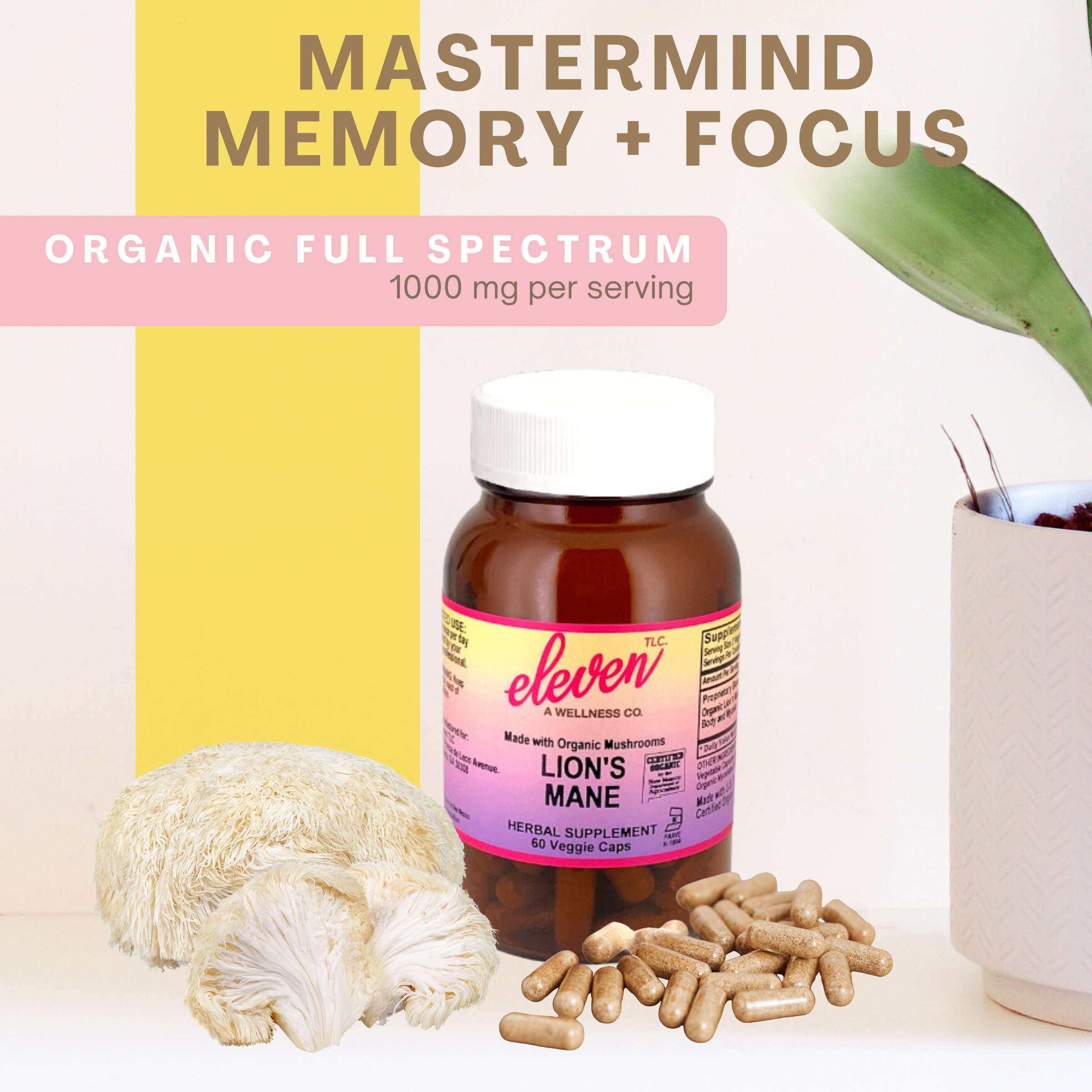 Lion's Mane Organic Mushroom Capsules | 60 Capsules