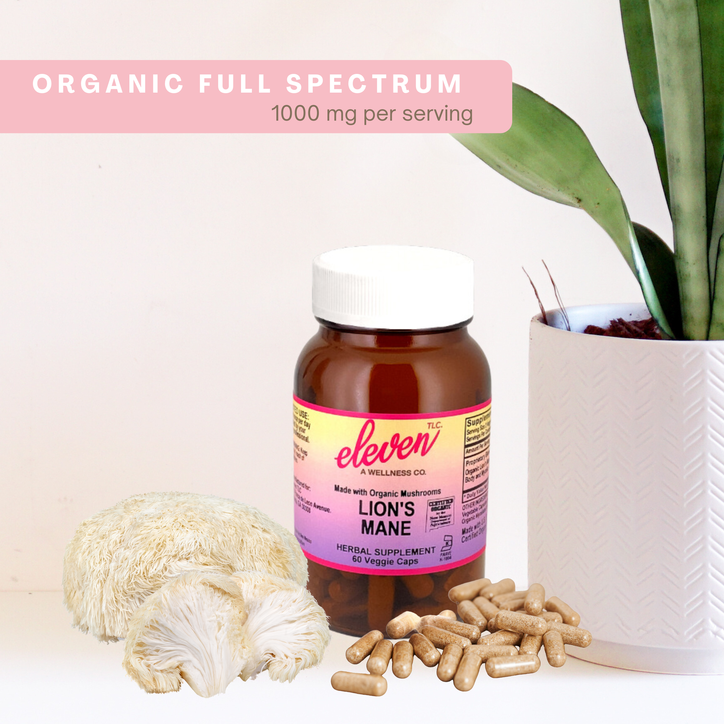 Lion's Mane Organic Mushroom Capsules | 60 Capsules