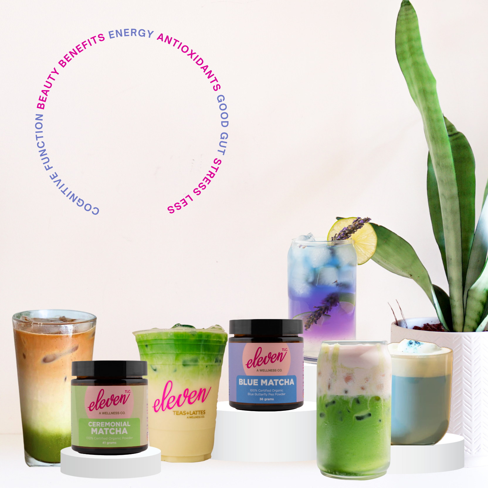 Premium Organic Ceremonial Japanese Matcha + Blue Matcha | Bundle