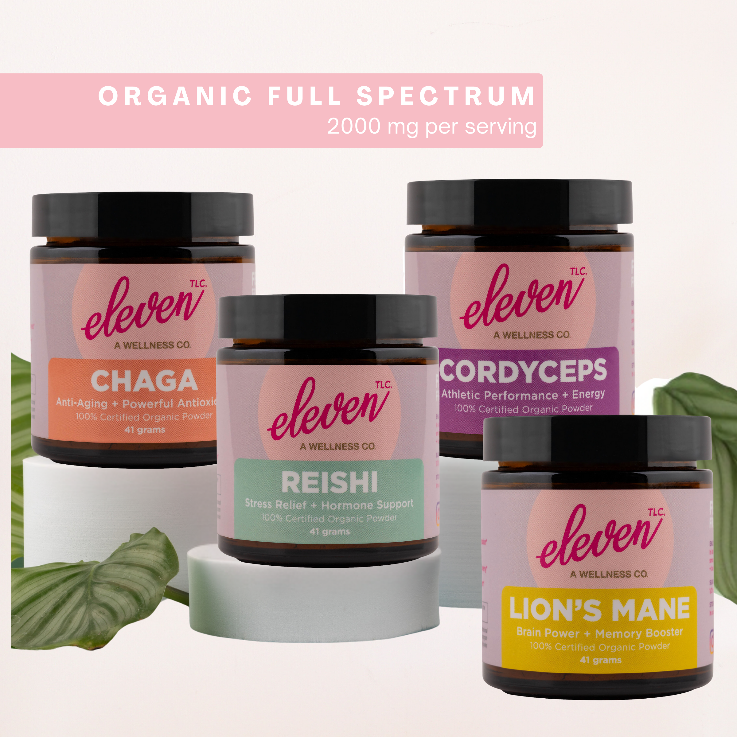 Organic Mushroom Powder Bundle | Chaga, Reishi, Cordyceps, & Lion's Mane Superfoods