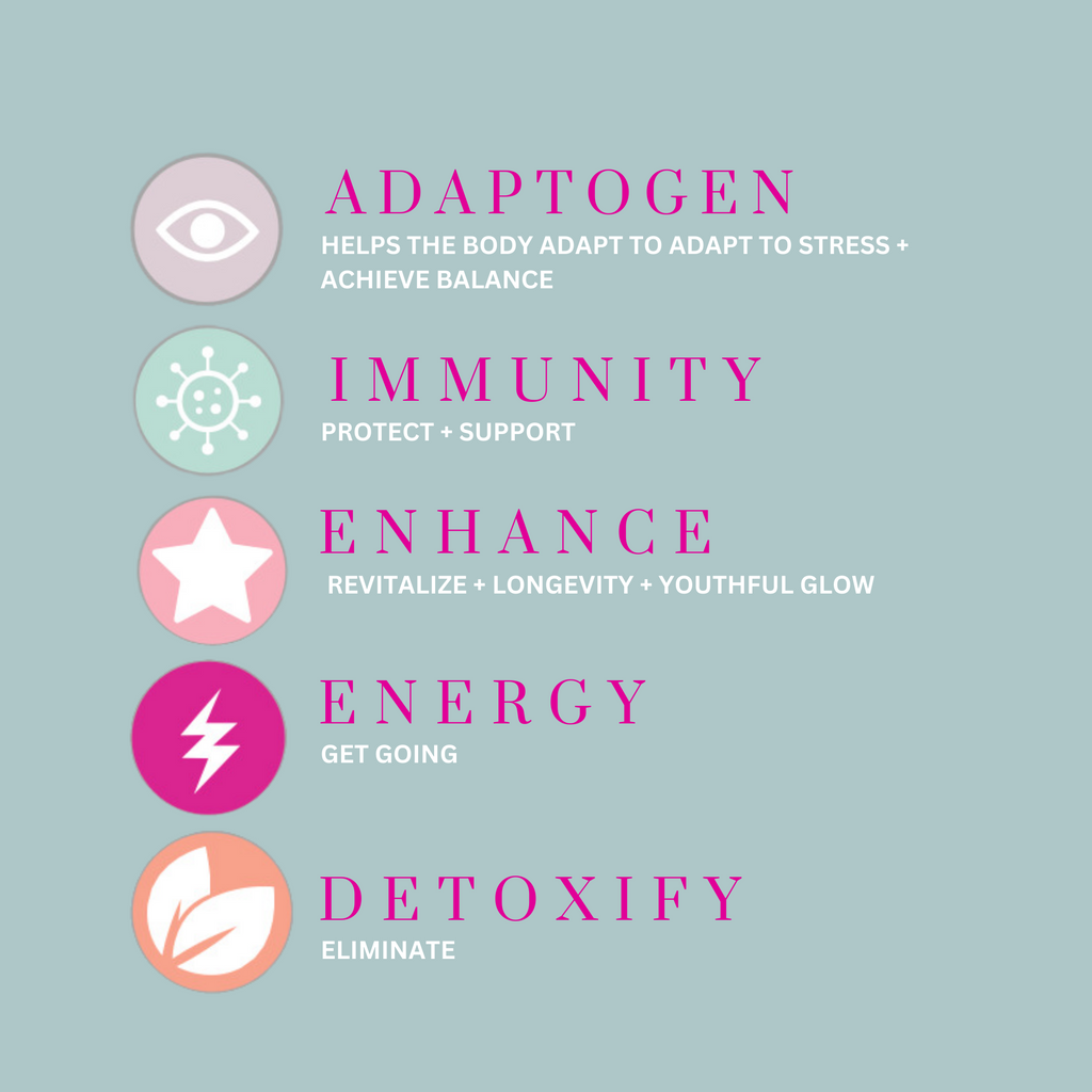 Icons Benefits of Reishi:  Adaptogen, Immunity, Enhance, Energy, Detoxify