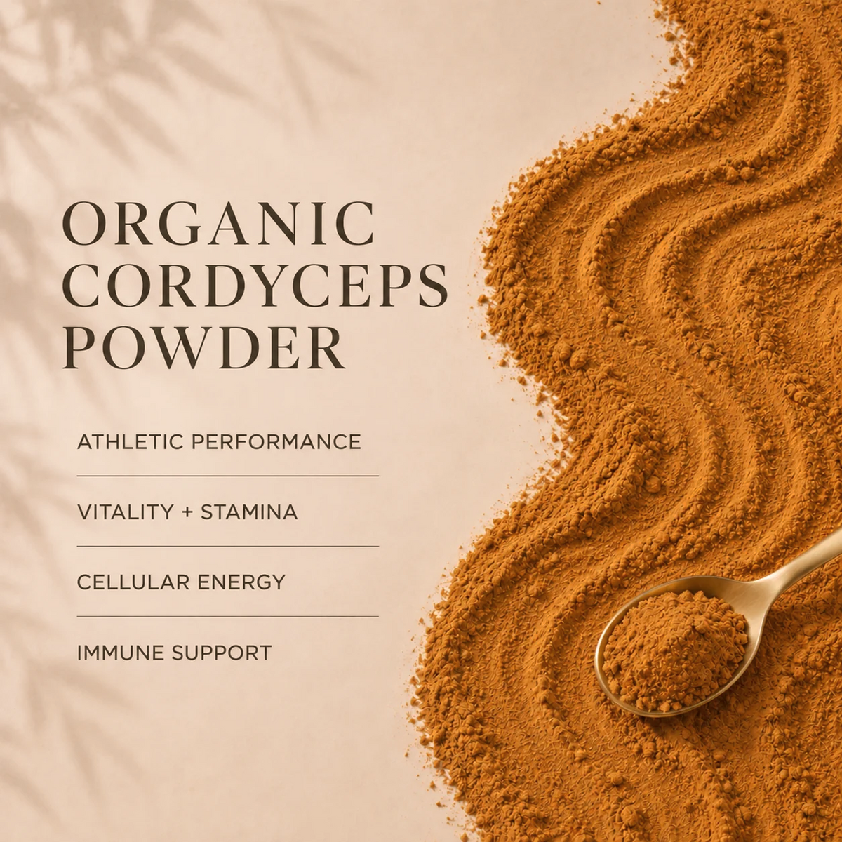 Eleven TLC Organic Cordyceps Powder: golden-orange cordyceps mushroom powder raked into flowing waves with a gold spoon, beside athletic performance, vitality + stamina and cellular energy, on a warm cream background.