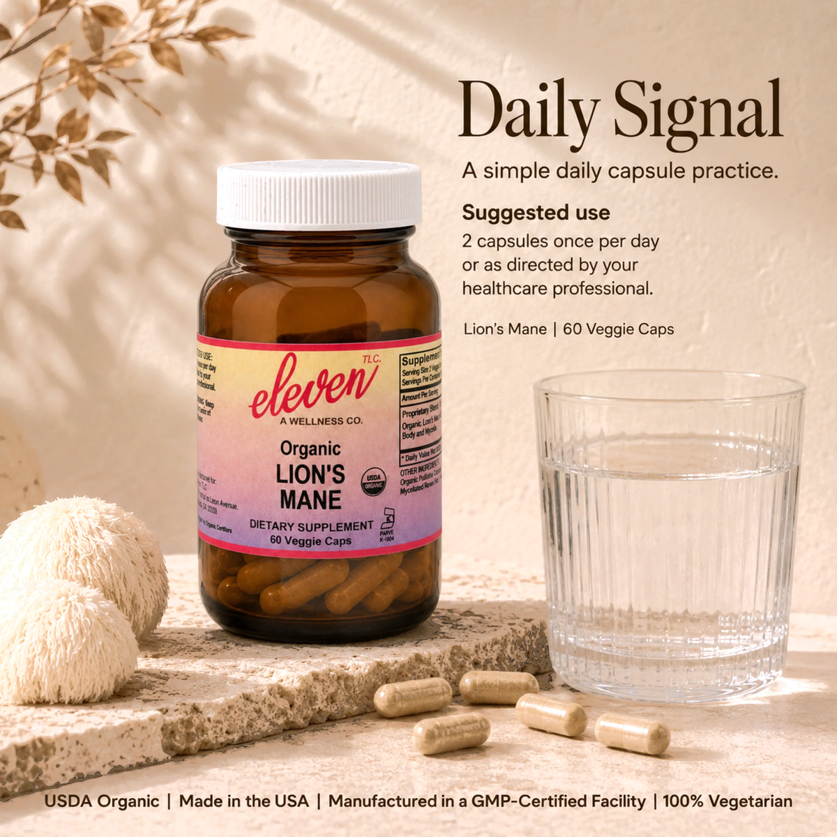 Eleven TLC Organic Lion's Mane mushroom capsules 60-count bottle graphic: Daily Signal instruction for 2 capsules daily.