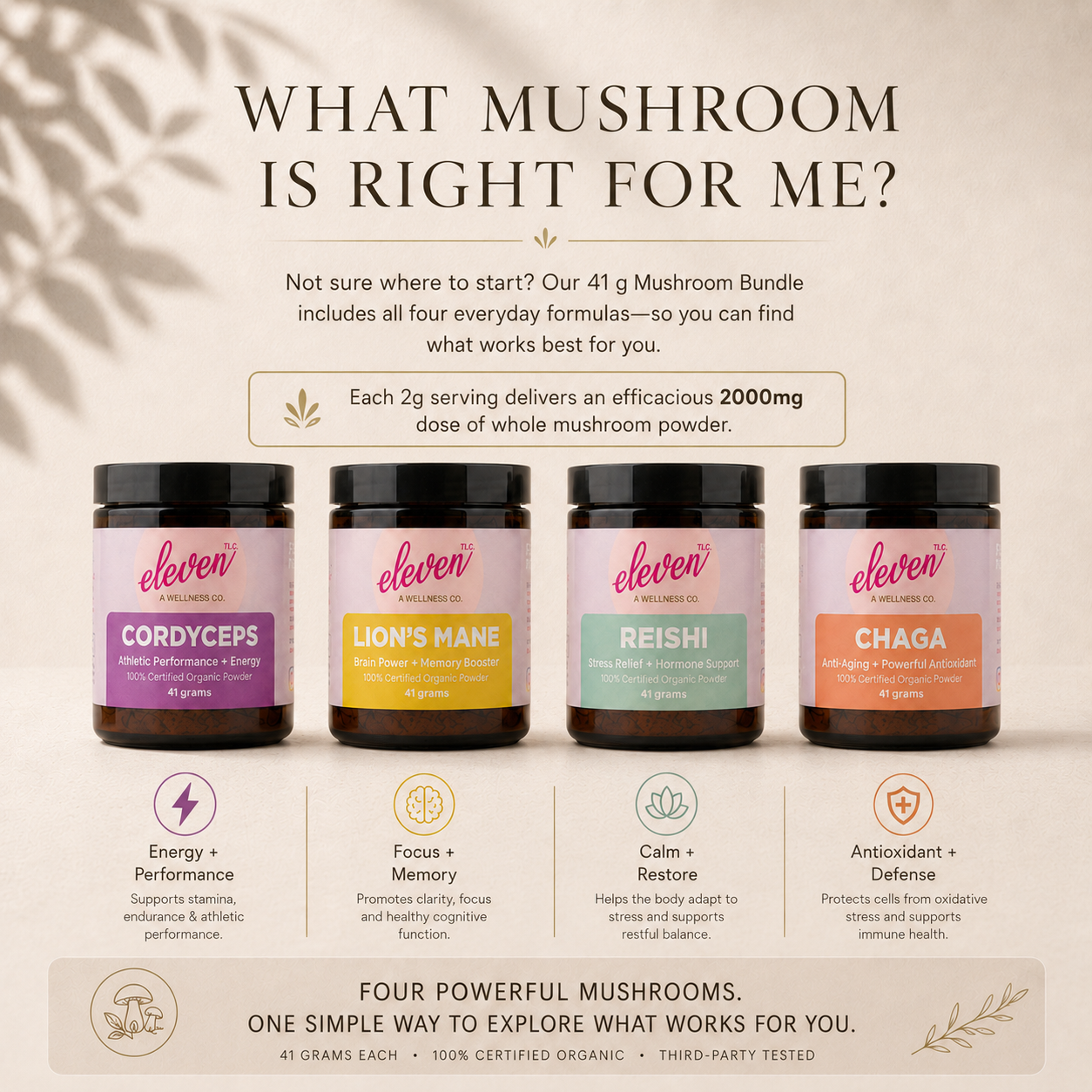 Four Eleven TLC 41 g mushroom powders—Cordyceps, Lion's Mane, Reishi, and Chaga—with 2 g (2000 mg) servings.