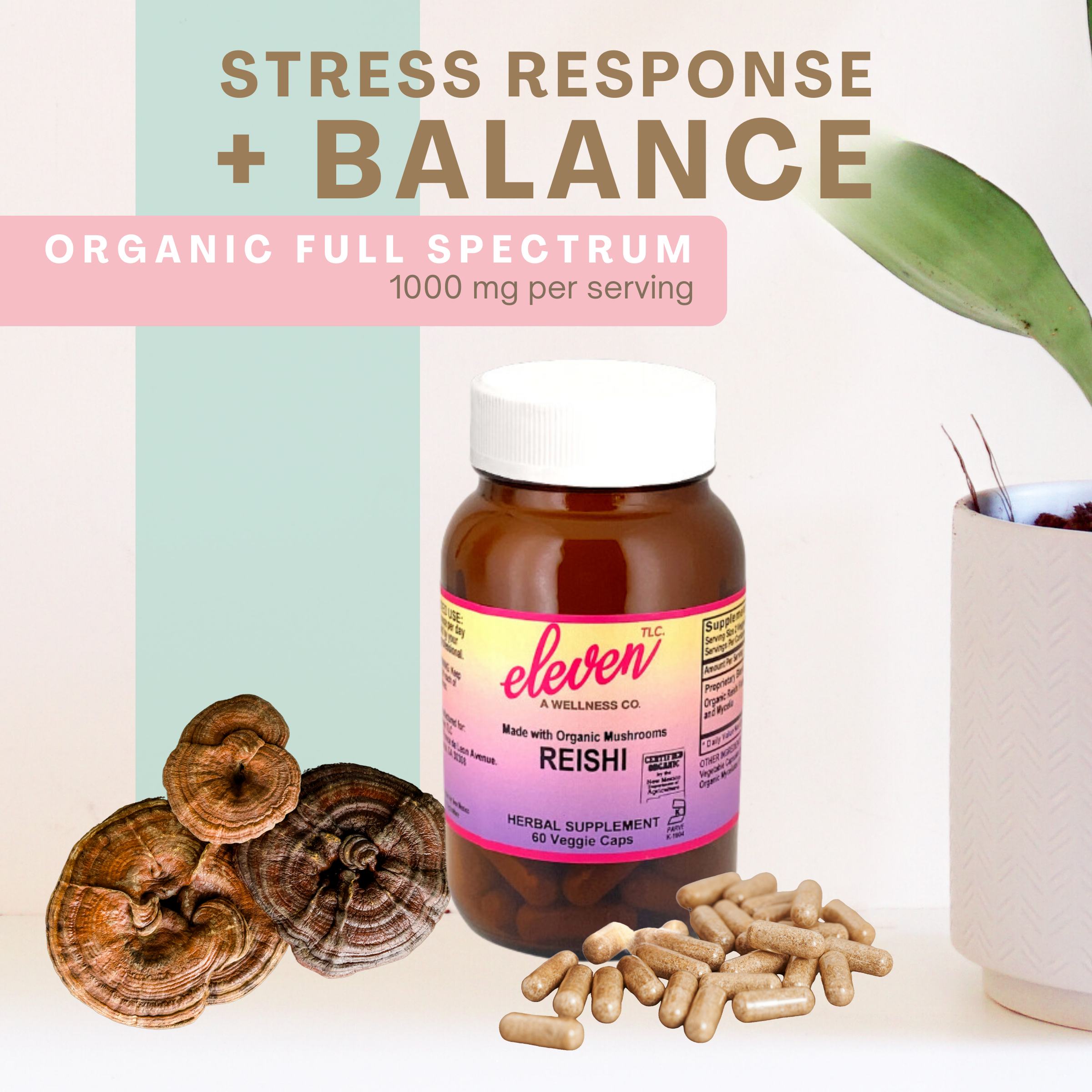 Reishi Organic Mushroom Supplement | Vegan Capsules | 60 Count