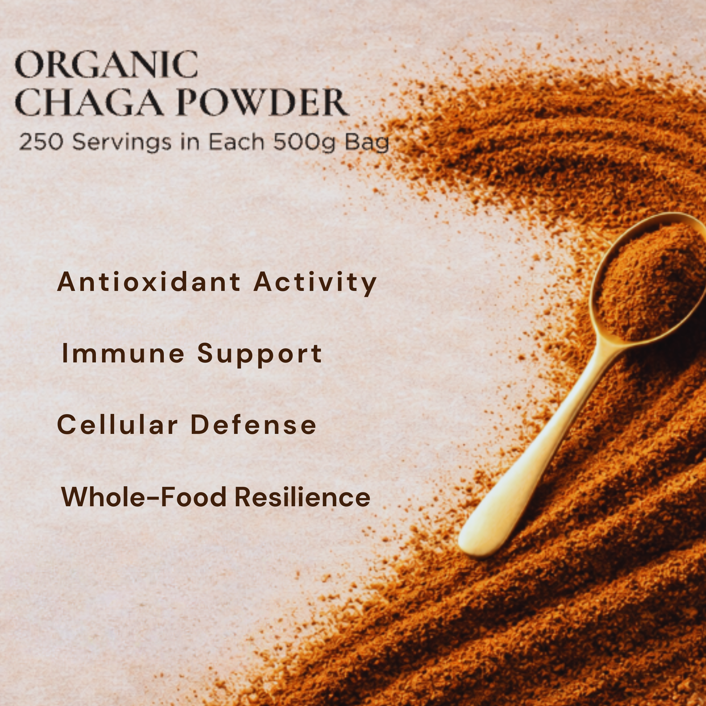 Organic Chaga Mushroom Powder