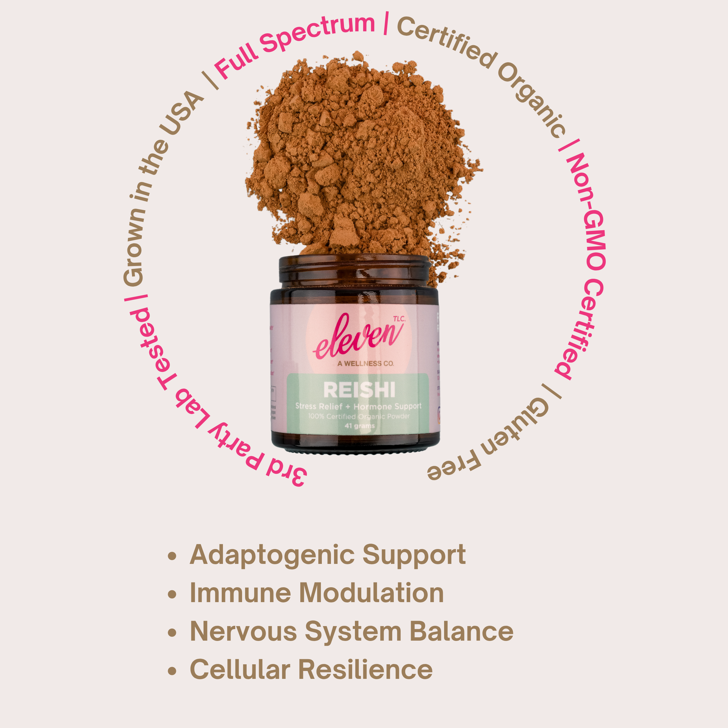 Organic Reishi Mushroom Powder