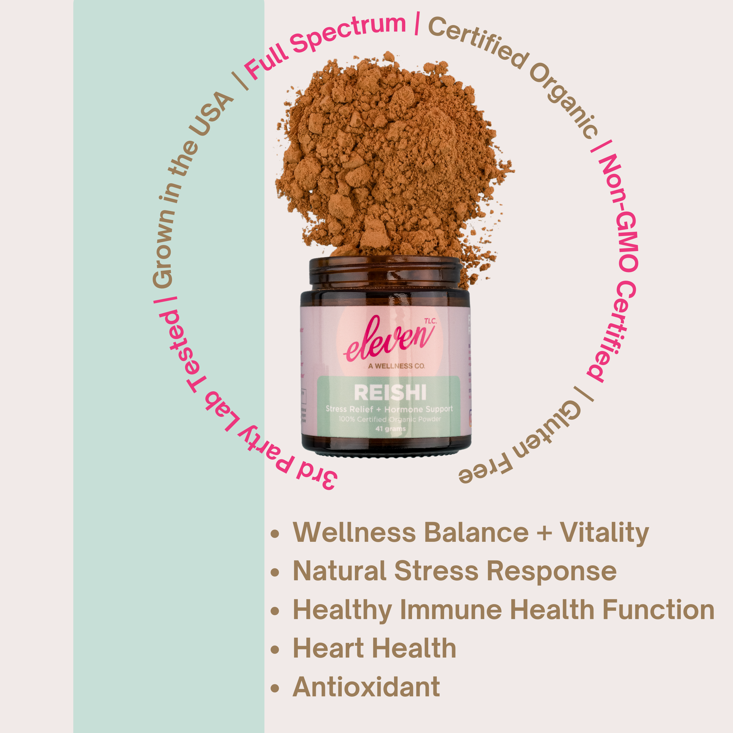 Reishi Organic Mushroom Superfood Powder | Full-Spectrum Adaptogen