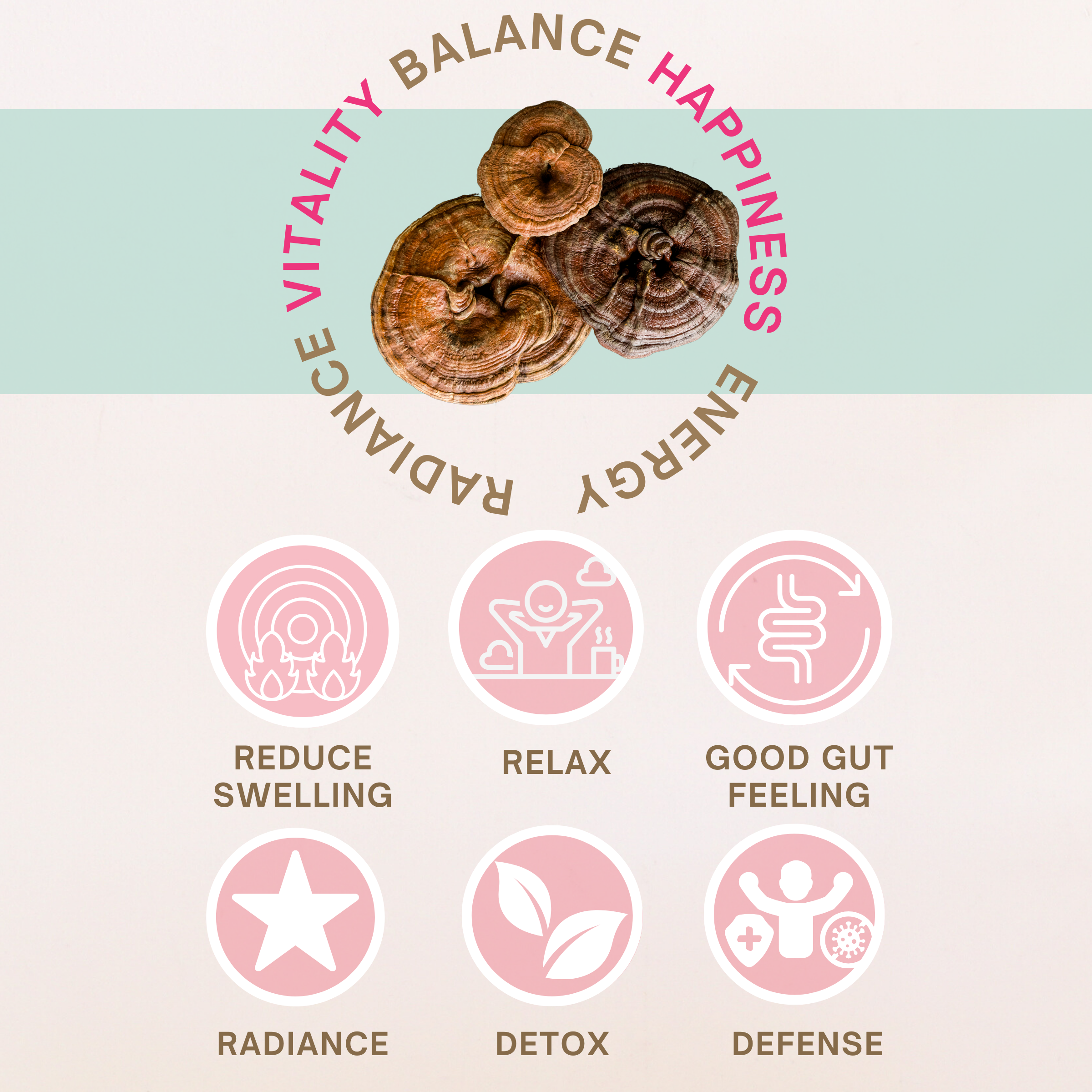Reishi Organic Mushroom Superfood Powder | Full-Spectrum Adaptogen
