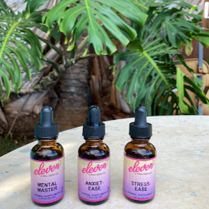 Mental Master Tincture "Brain Upgrade" | 1 oz