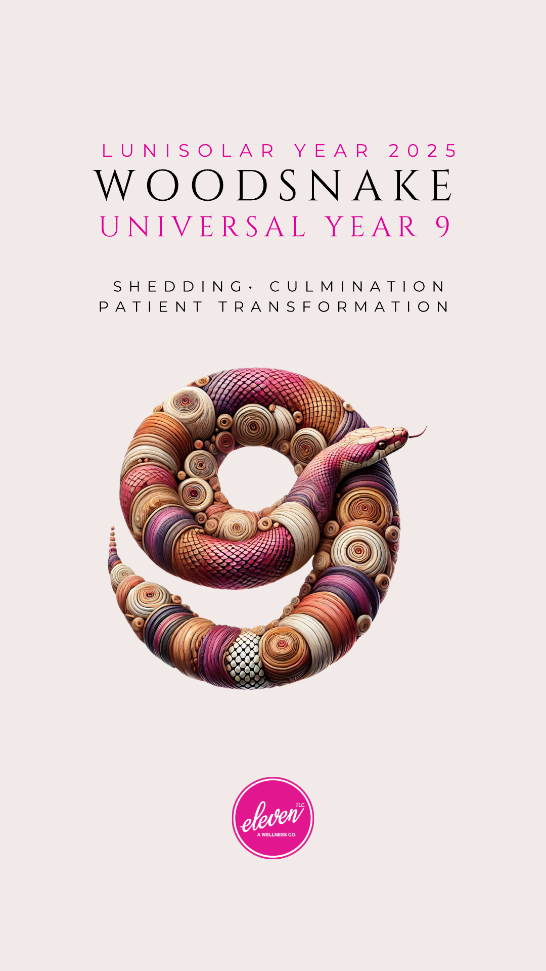 2025 Year of the Wood Snake and Universal Year 9, by Eleven TLC