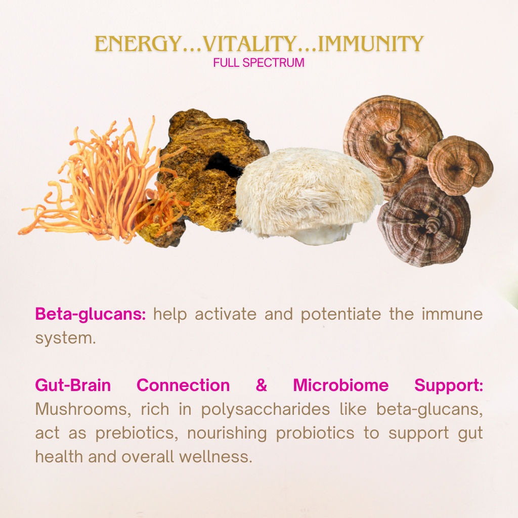 Cordyceps Organic Mushroom Superfood Powder:  Energy + Performance