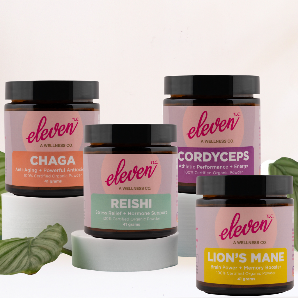 Eleven TLC adaptogenic mushroom powder lineup including lion's mane for daily cognitive support.