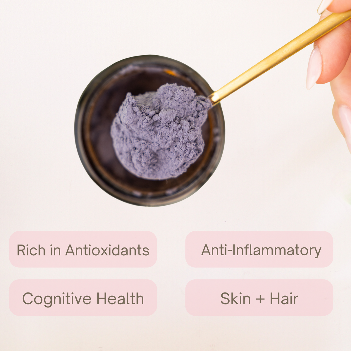 Eleven TLC Blue Matcha butterfly pea powder graphic with the amber glass jar
