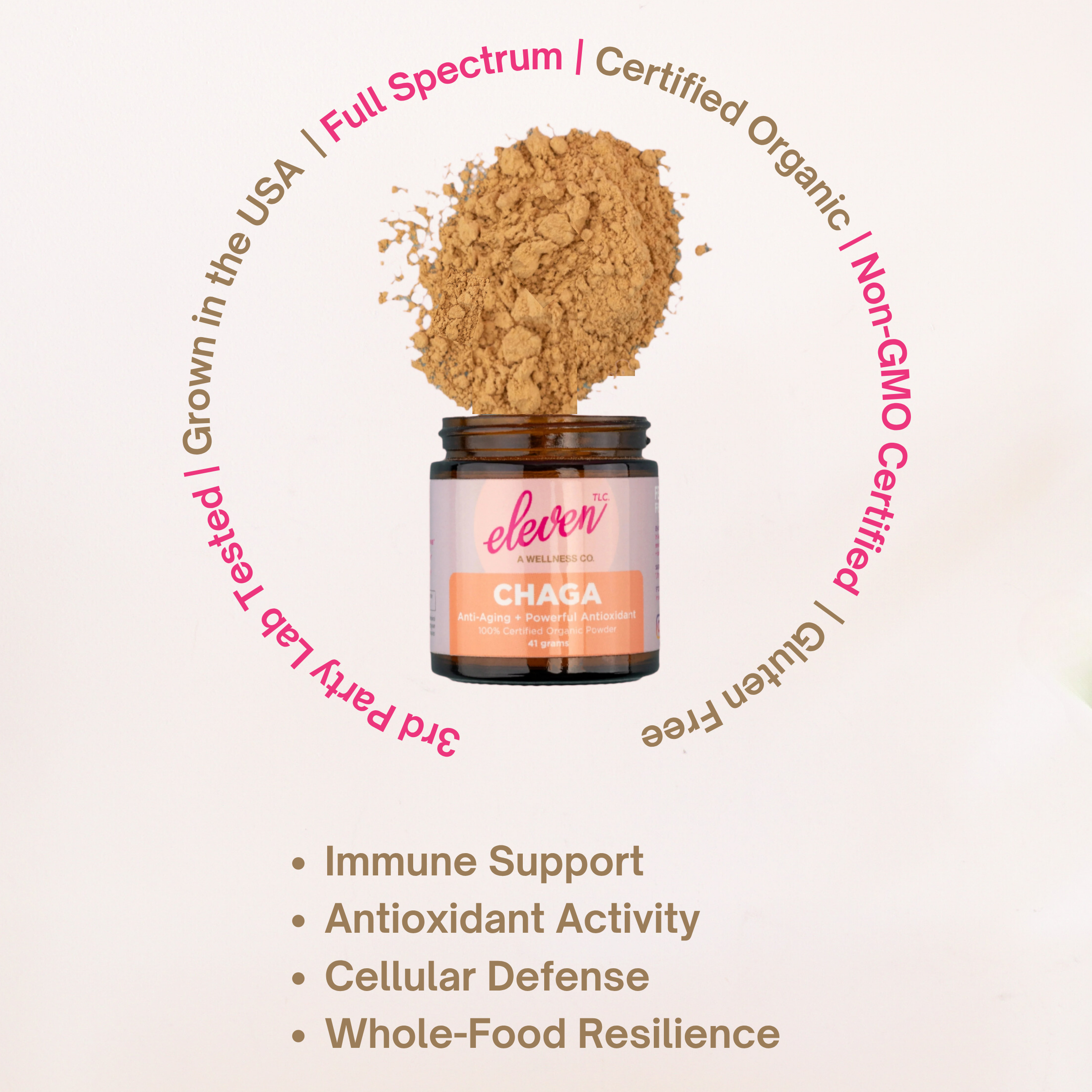 Organic Chaga Mushroom Powder