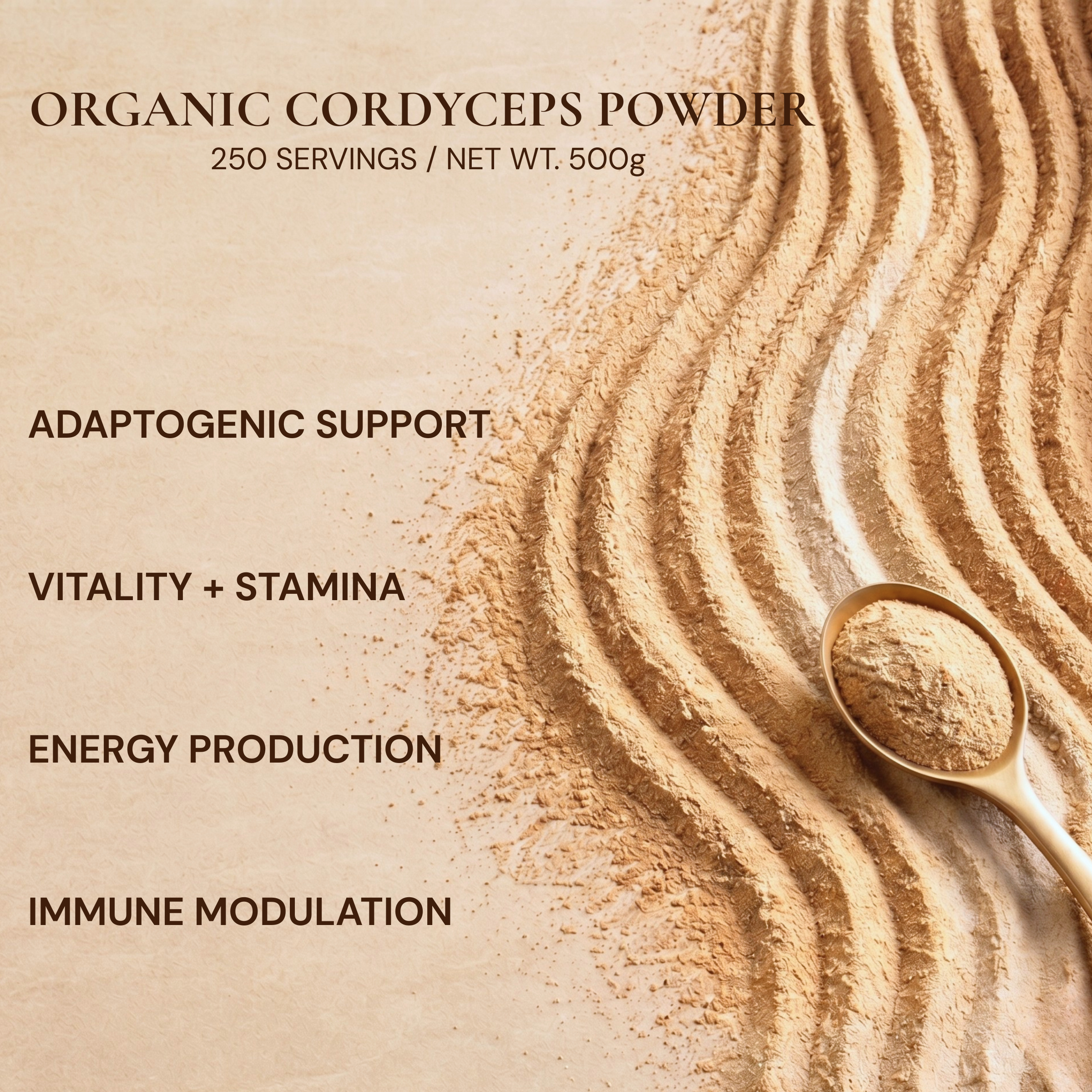 Organic Cordyceps Mushroom Powder — Foodservice 500g