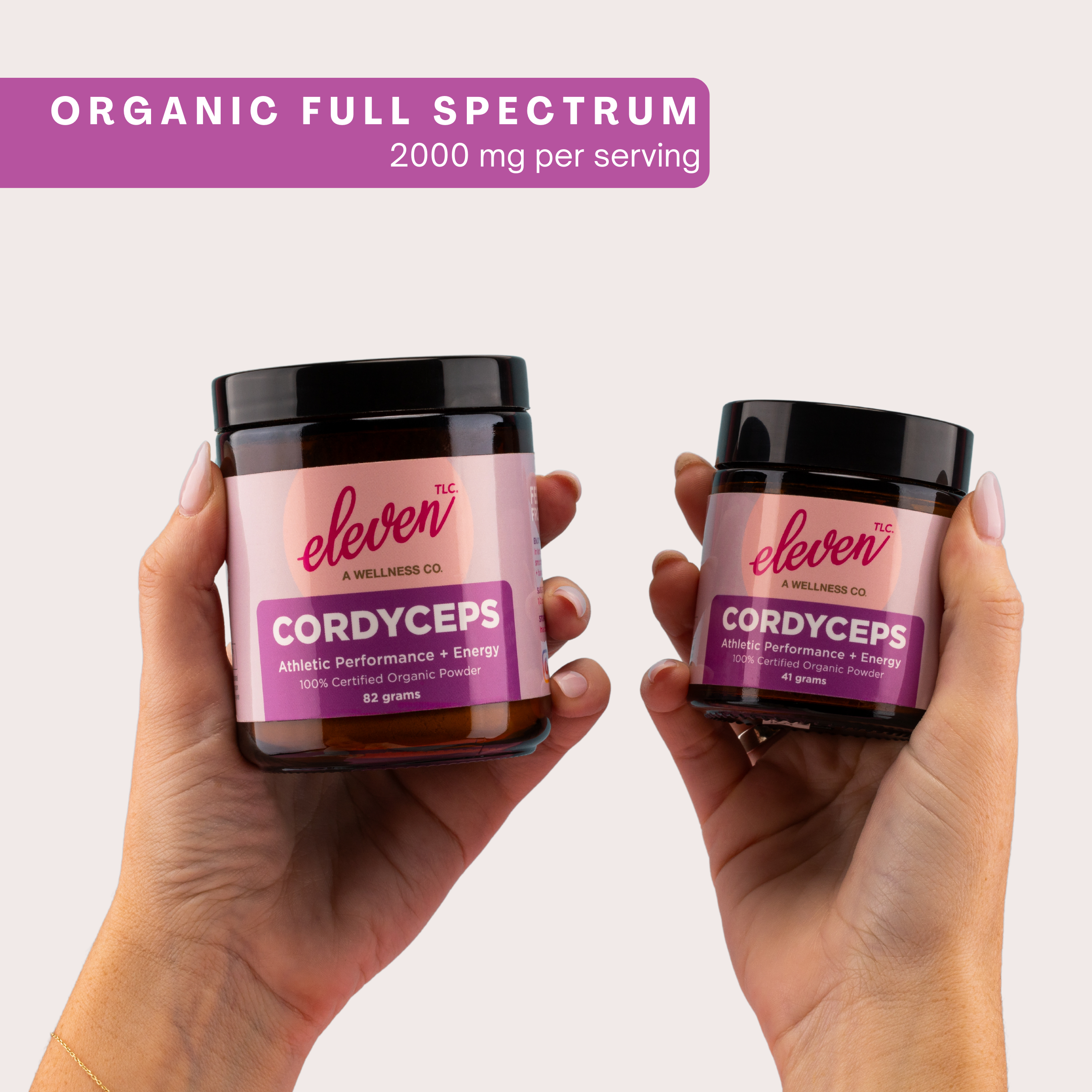 Size comparison of Eleven TLC organic cordyceps mushroom powder jars; cellular energy support.
