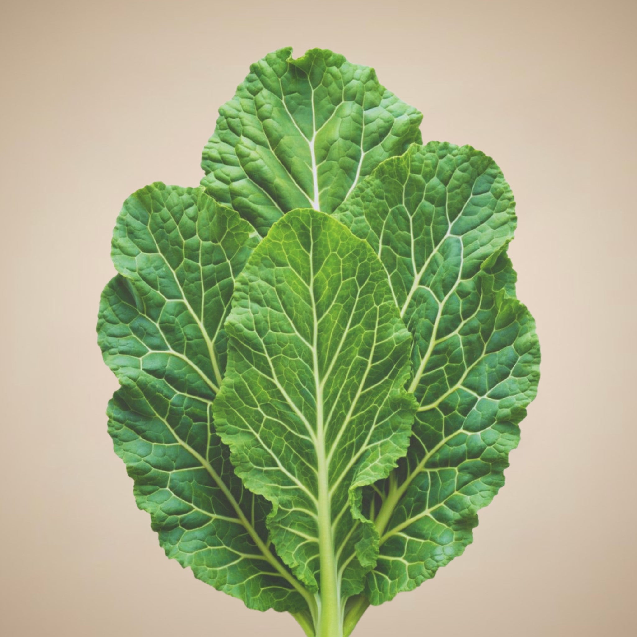 Leafy greens, Verdant Daily ingredient