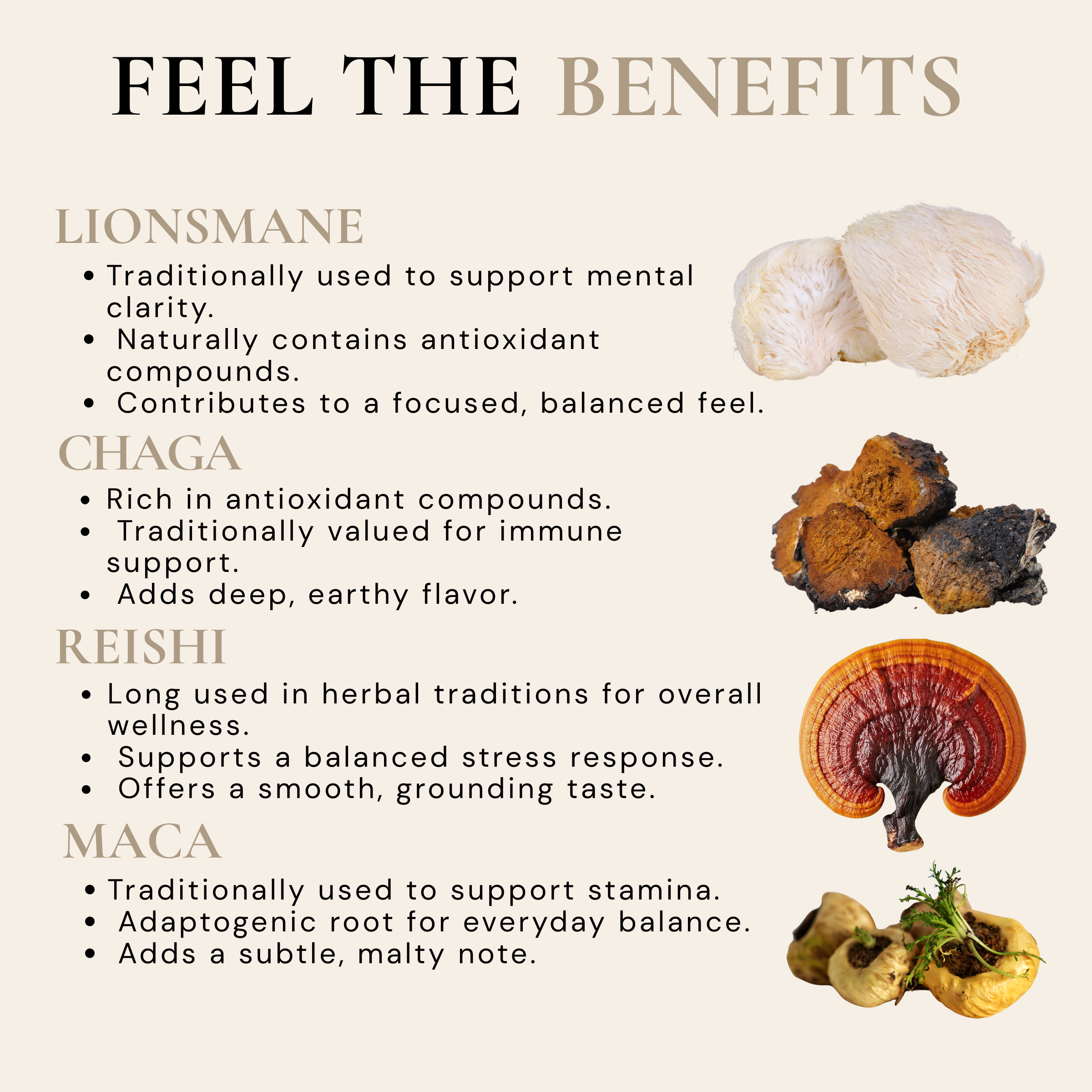 Shroomie 8-Adaptogen Superfood Blend | 500g Bulk Food Service Bag