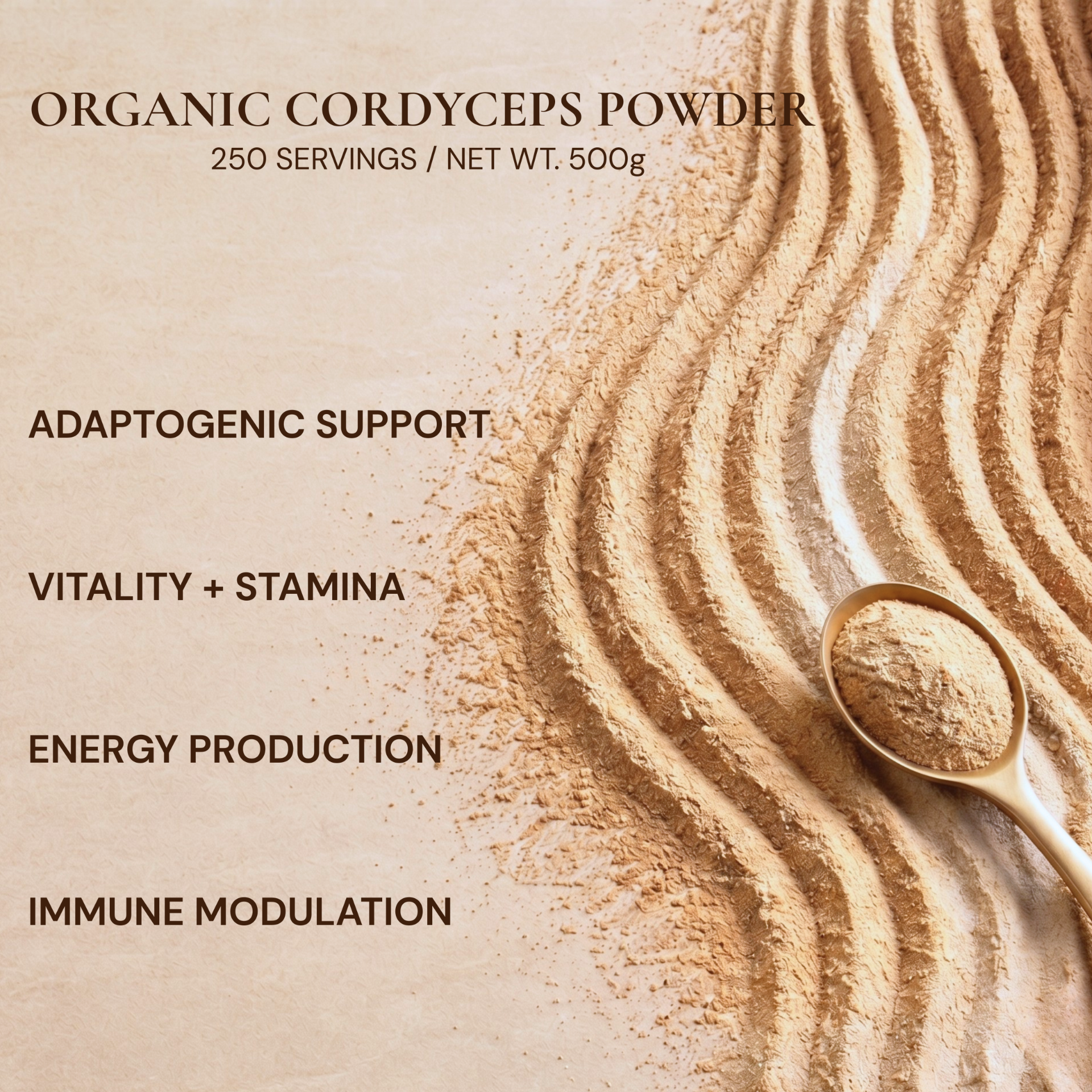 Fine milled 60-mesh organic cordyceps mushroom powder showing light tan loose texture on a stone surface.