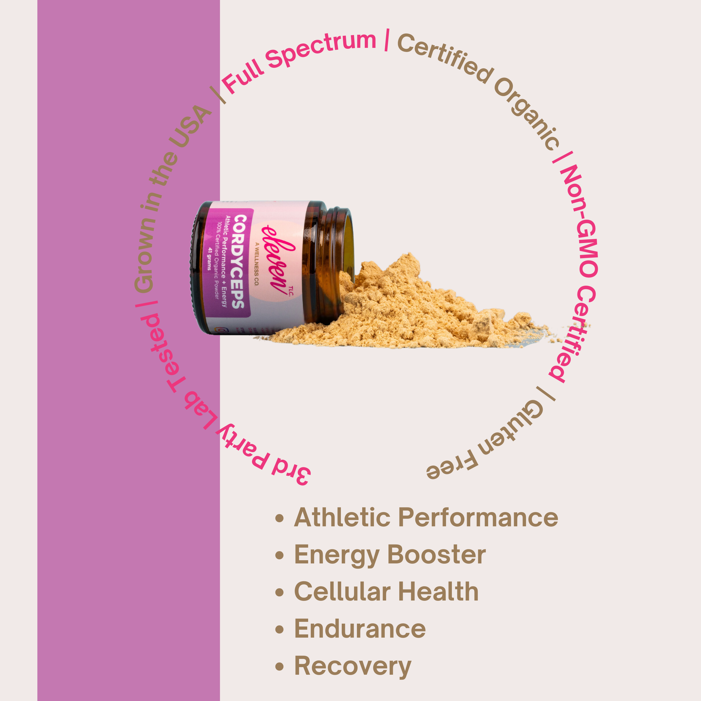 Cordyceps Organic Mushroom Superfood Powder:  Energy + Performance