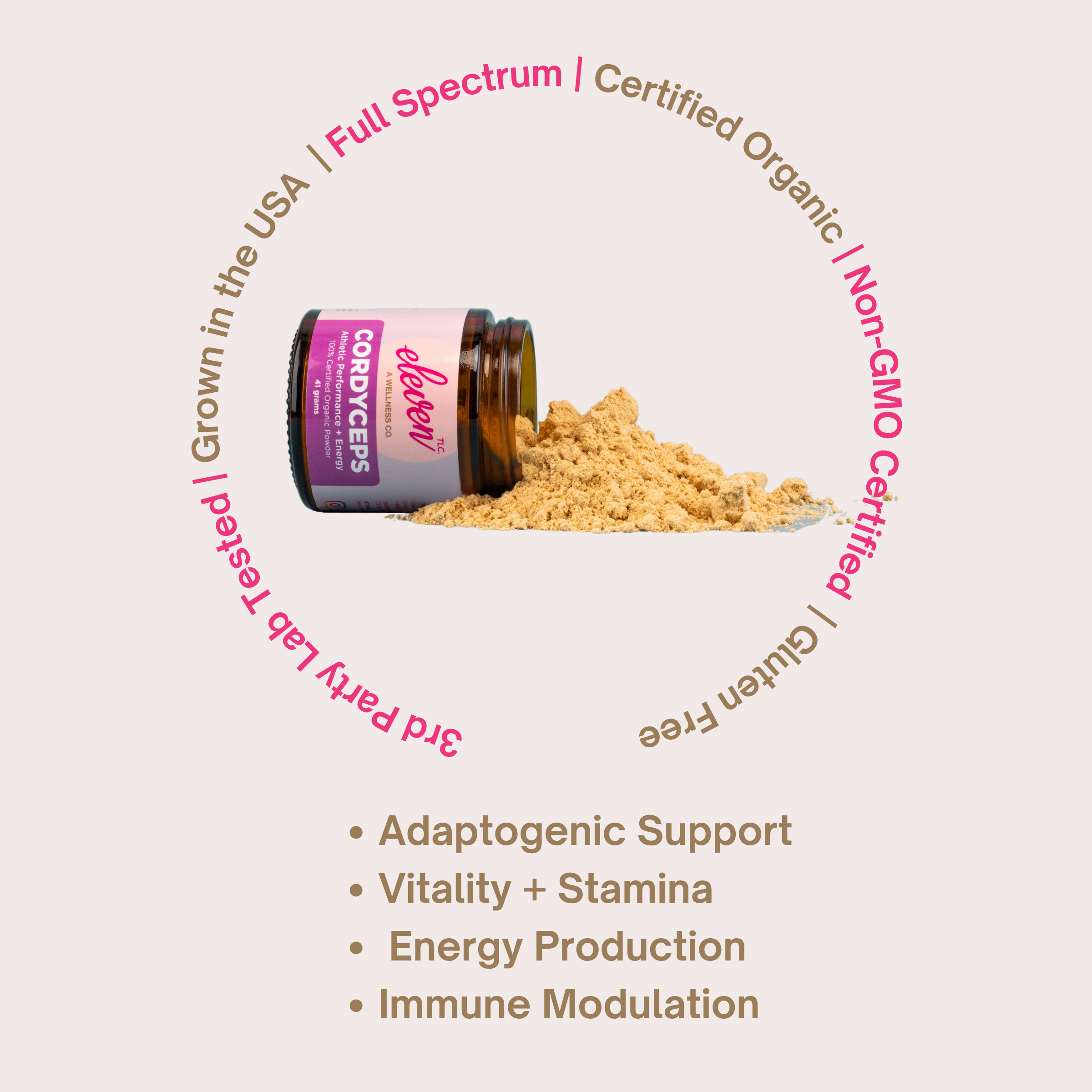 Infographic on full-spectrum cordyceps mushroom powder; supports cellular energy and stamina.