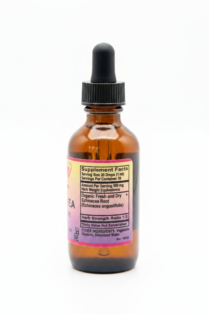Echinacea Root Tincture | Alcohol-Free | 2 oz