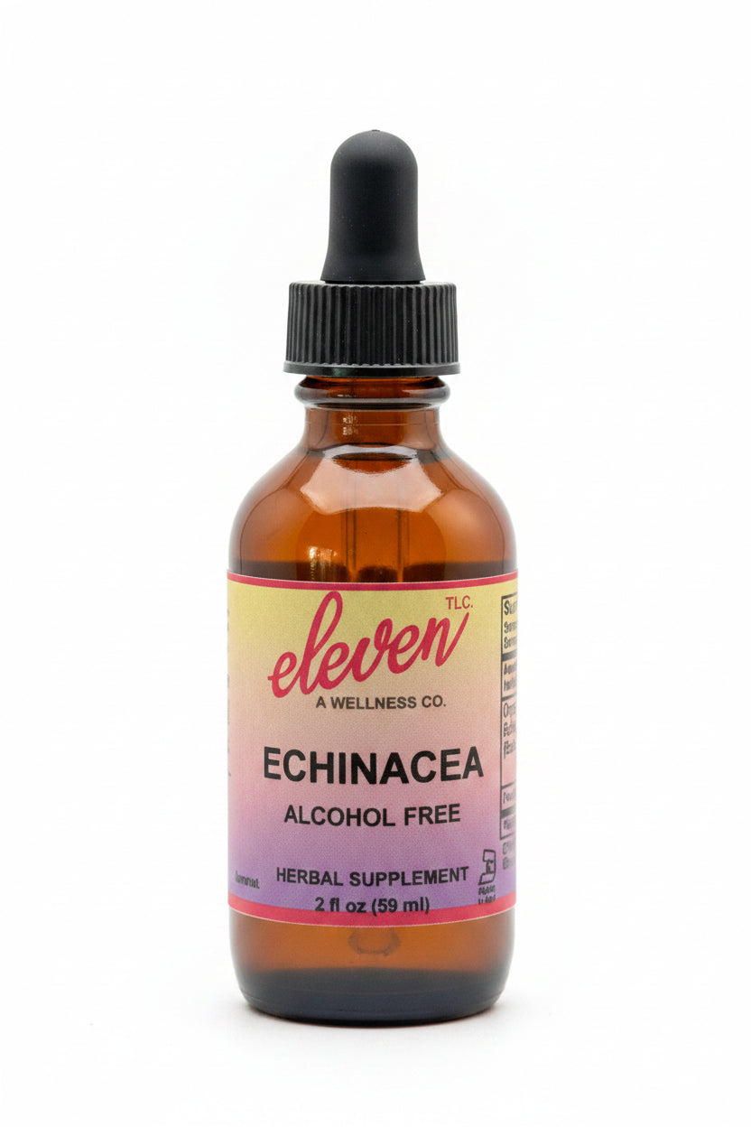 Echinacea Root Tincture | Alcohol-Free | 2 oz