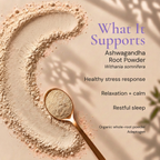Eleven TLC ashwagandha root powder (Withania somnifera) with a gold spoon on a warm beige background. Text lists a healthy stress response, relaxation + calm, and restful sleep; identifies the organic whole-root powder as an adaptogen.