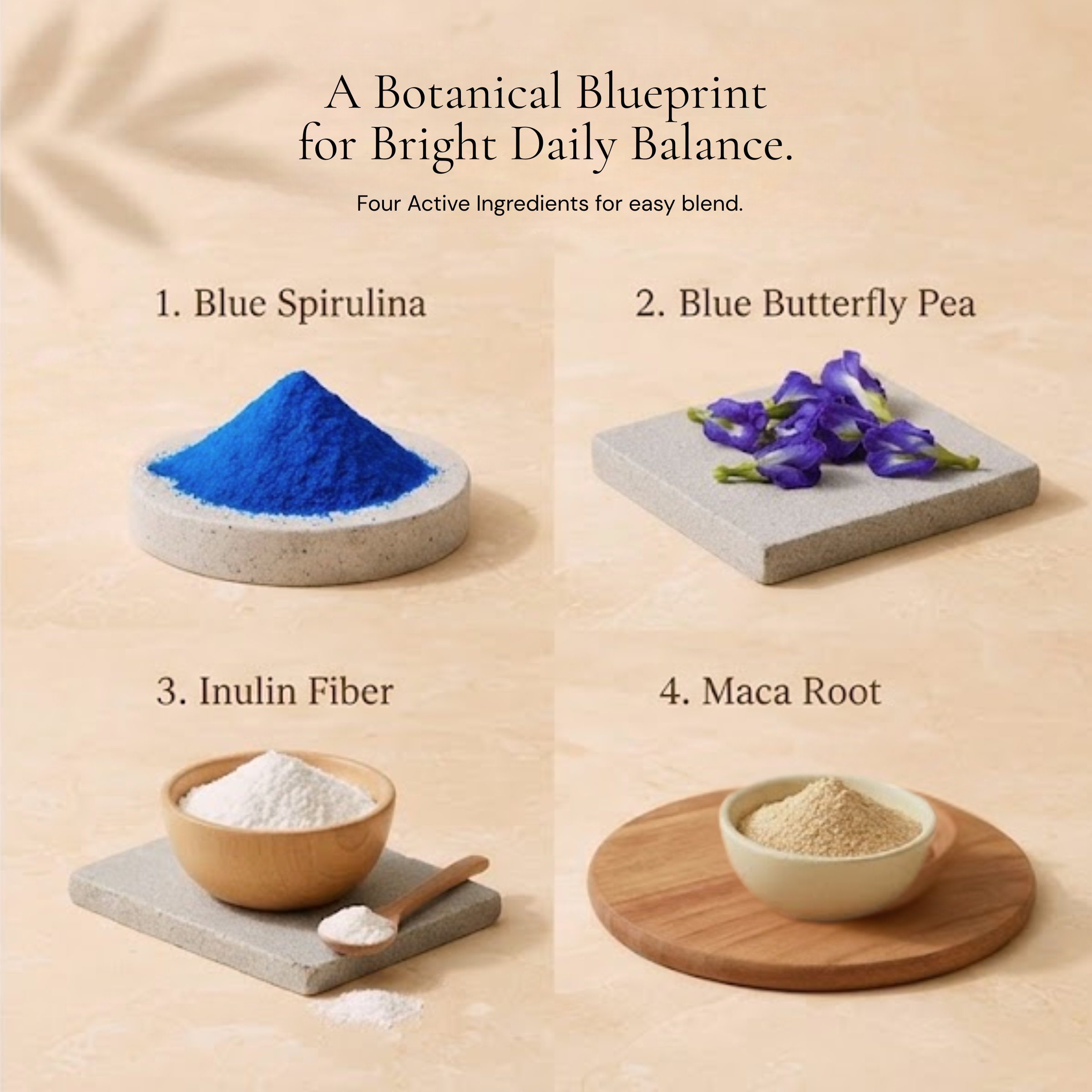 Botanical ingredients of Berry Well functional beverage mix: Blue Spirulina, Blue Butterfly Pea, Inulin Fiber, and Maca Root displayed in minimalist bowls on a beige surface.