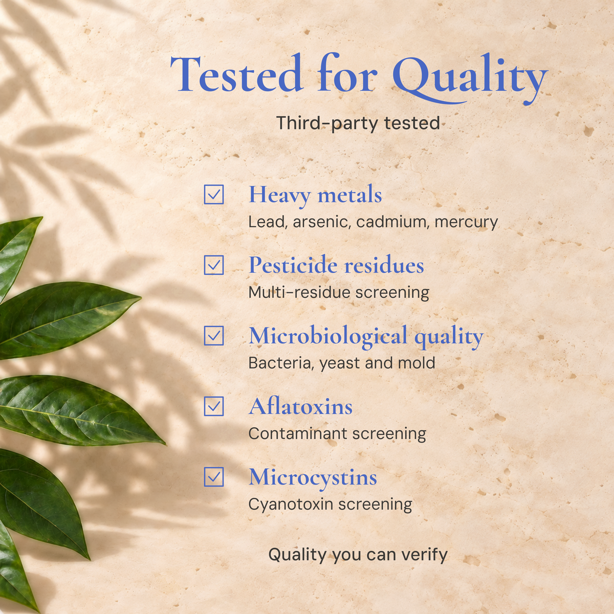Eleven TLC blue spirulina quality-testing graphic listing heavy metals, pesticide residues, microbiological quality, aflatoxins and microcystins on cream travertine beside green leaves.