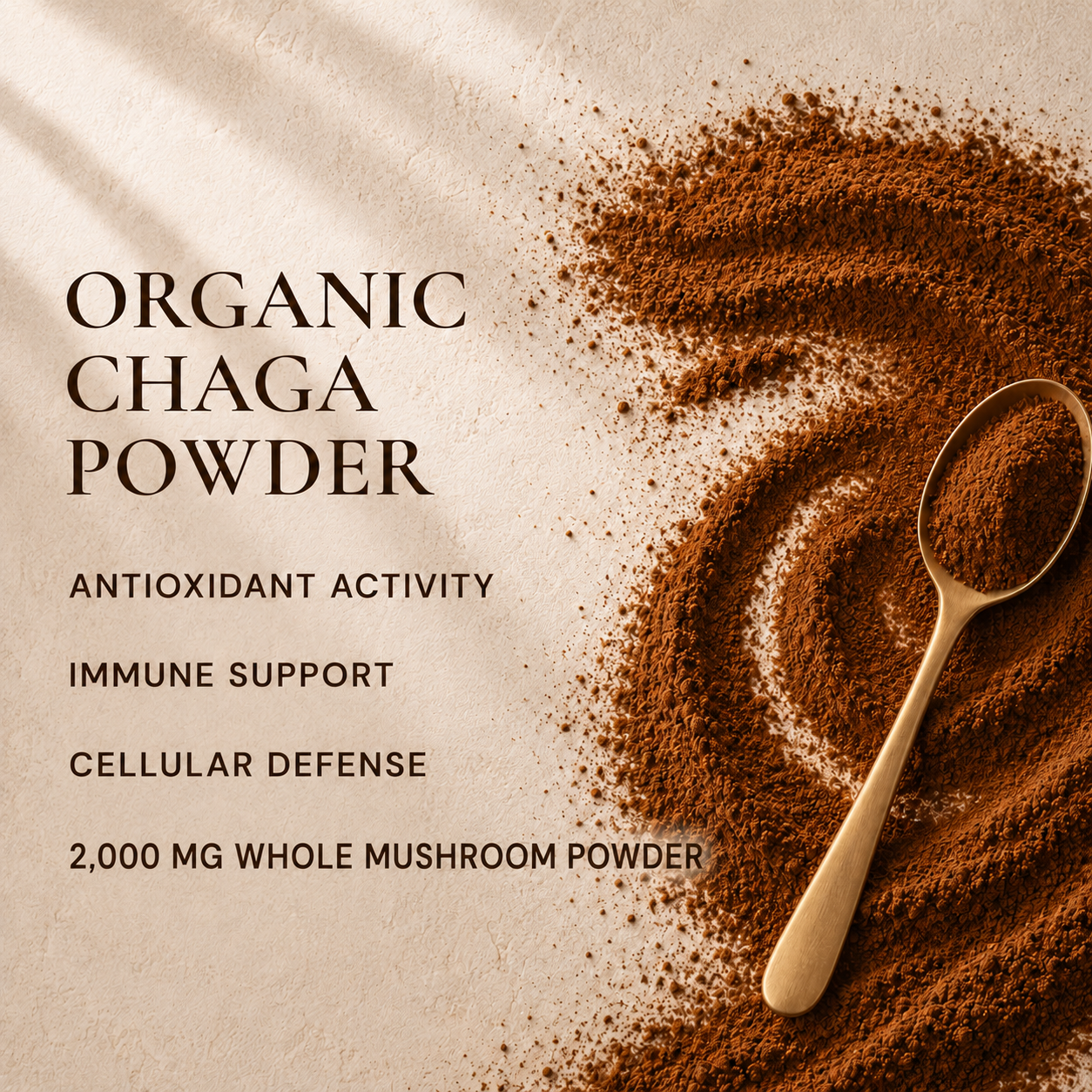 Chaga powder swirl graphic for Eleven TLC showing antioxidant activity, immune support, cellular defense, and whole-food resilience.

