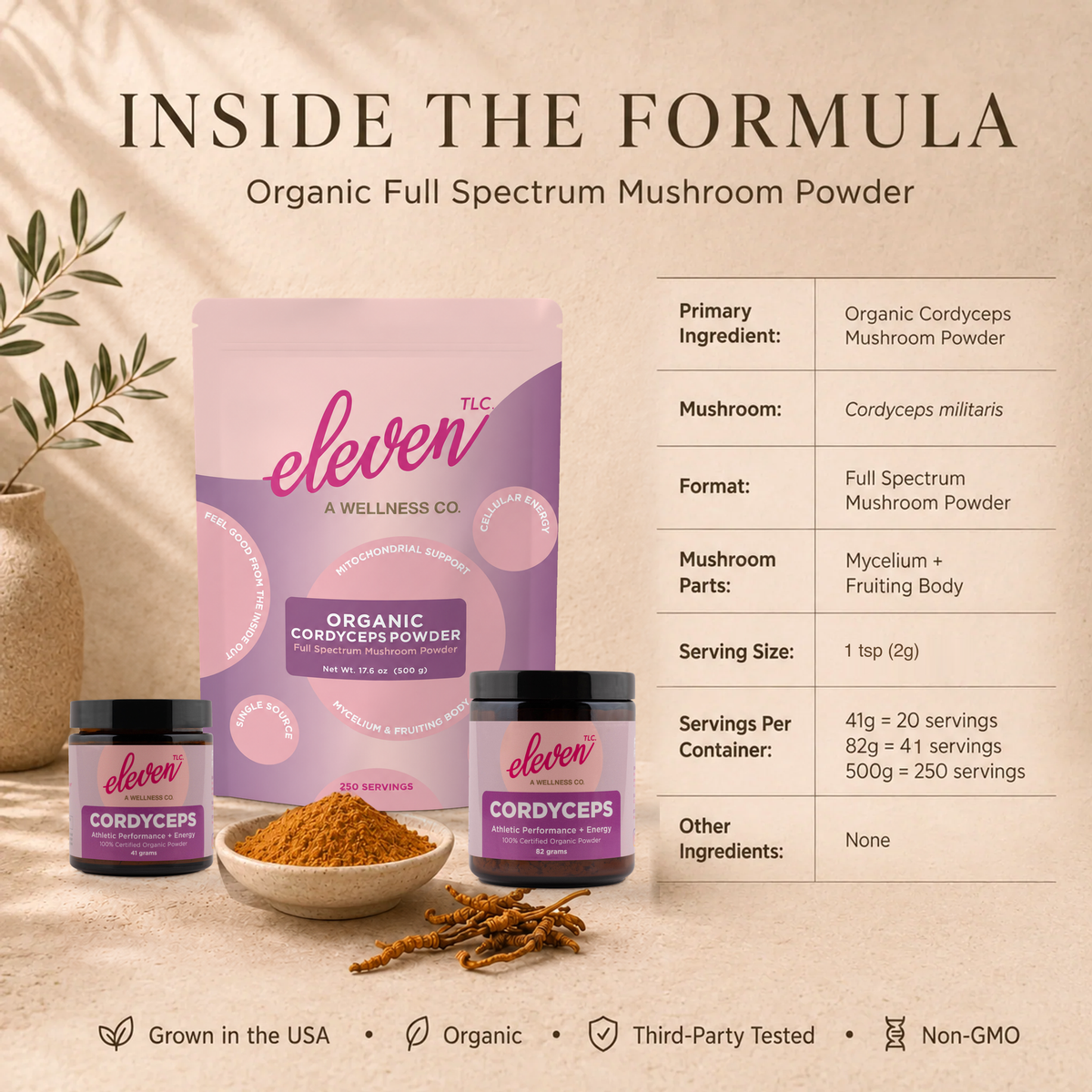 Eleven TLC Cordyceps mushroom powder in 41g and 82g amber glass jars and a 500g pouch on warm stone beside a bowl of powder, dried cordyceps and an Inside the Formula information table.